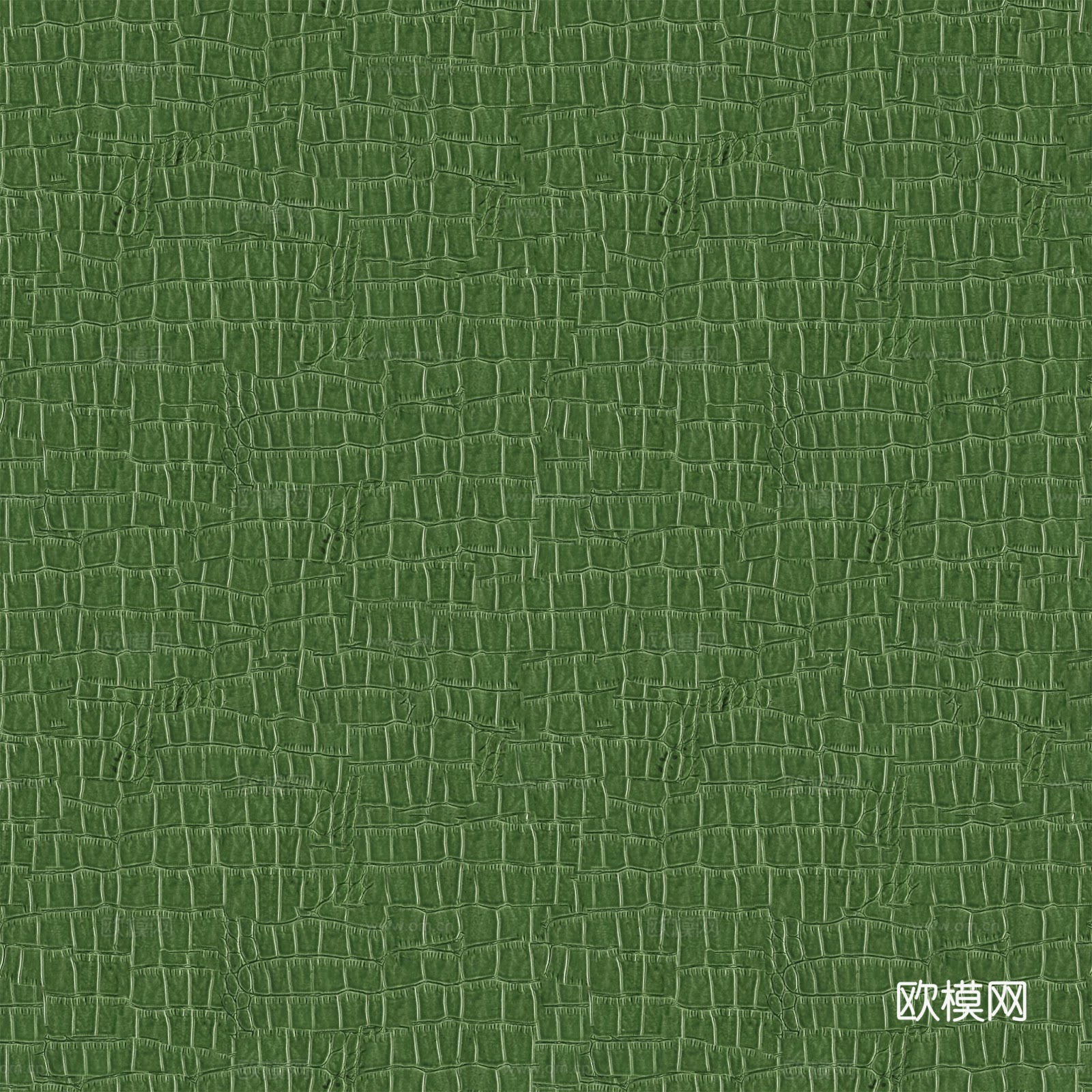 皮革 真皮