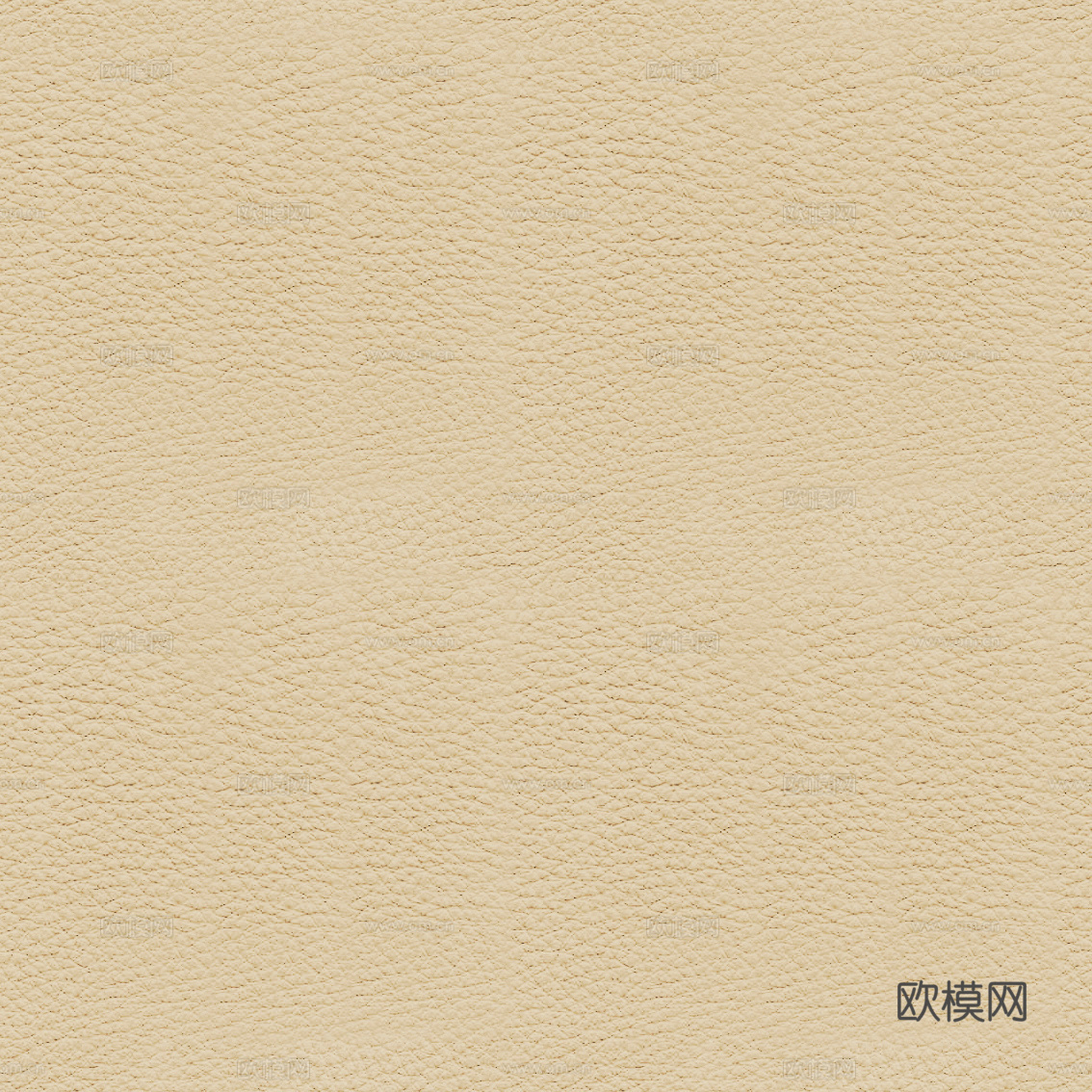 皮革 真皮