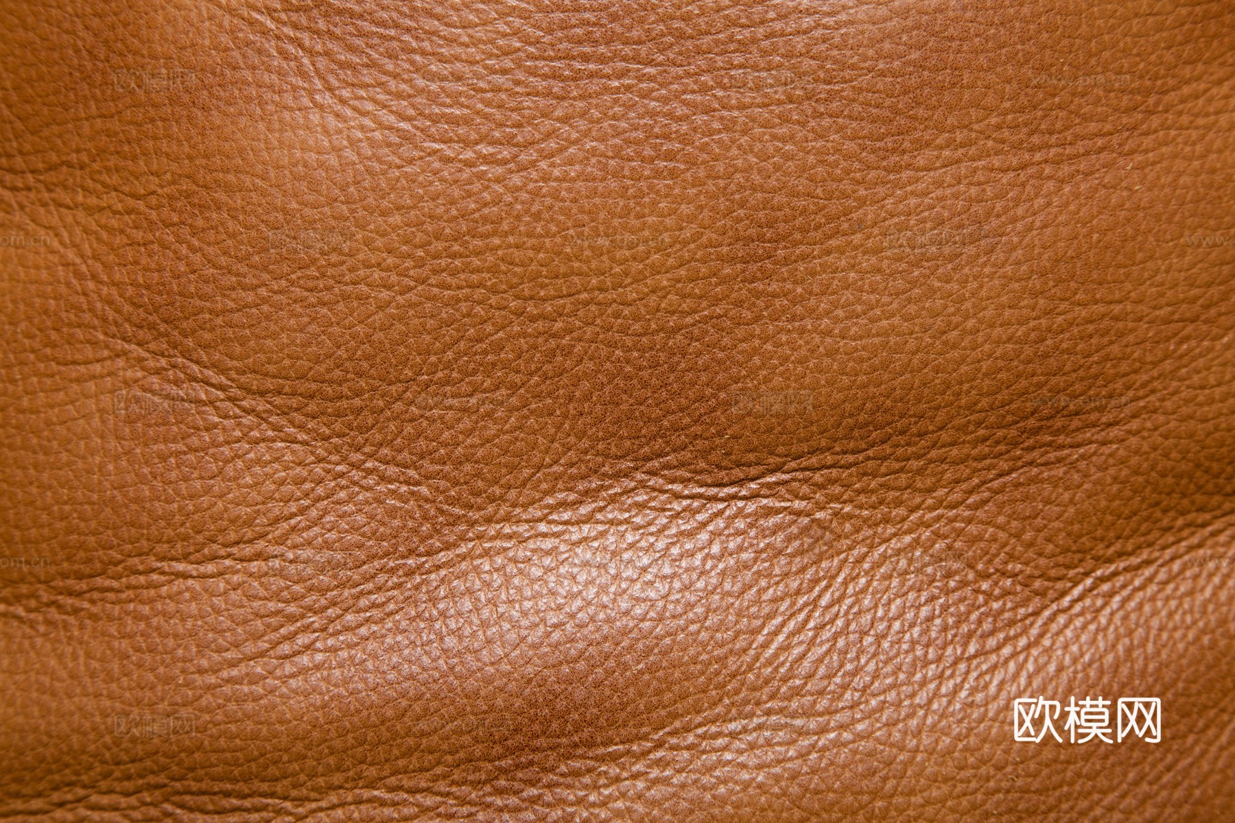 真皮 皮革下载