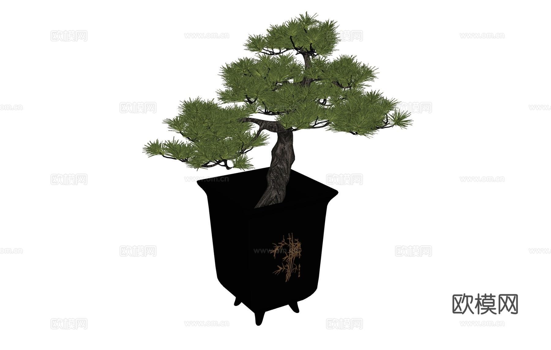 花盆盆栽植物绿植  罗汉松su模型