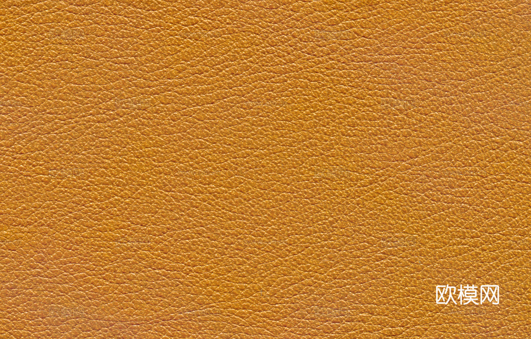 真皮 皮革下载