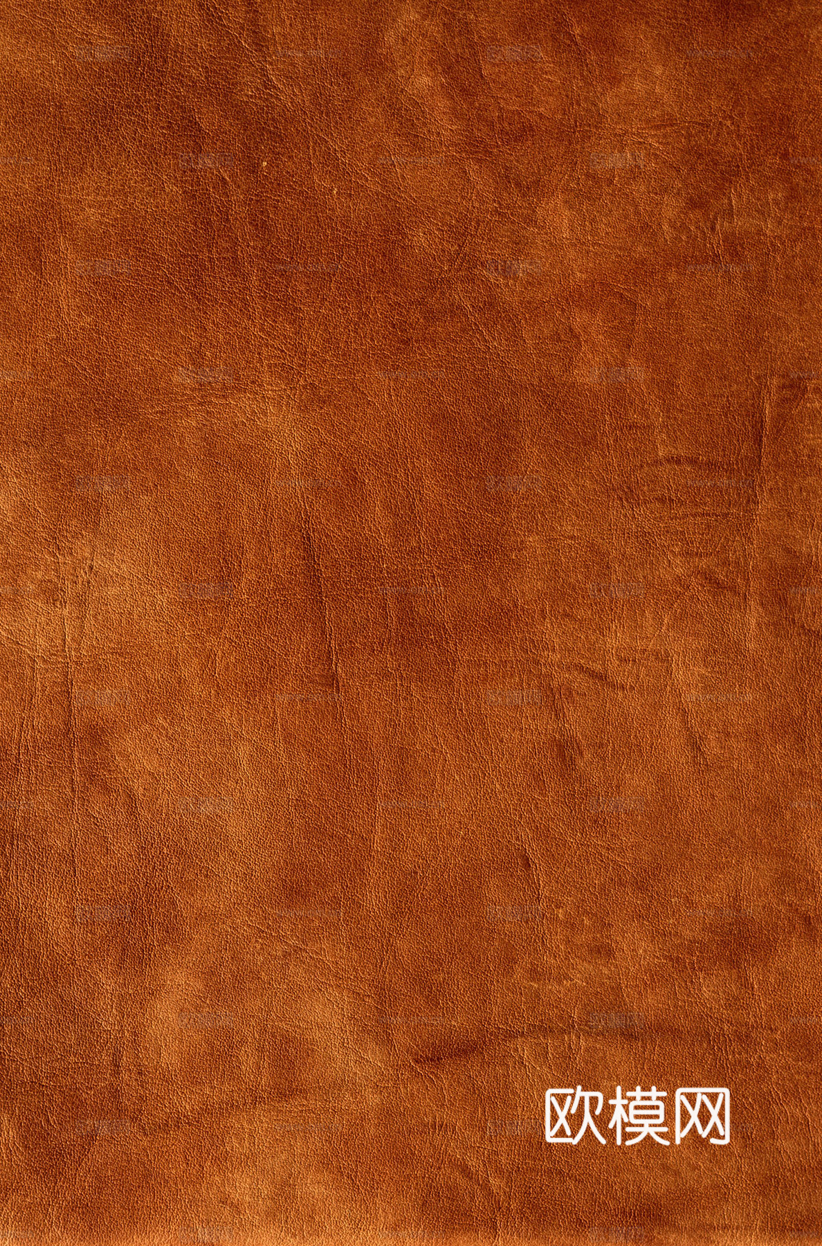 真皮 皮革下载