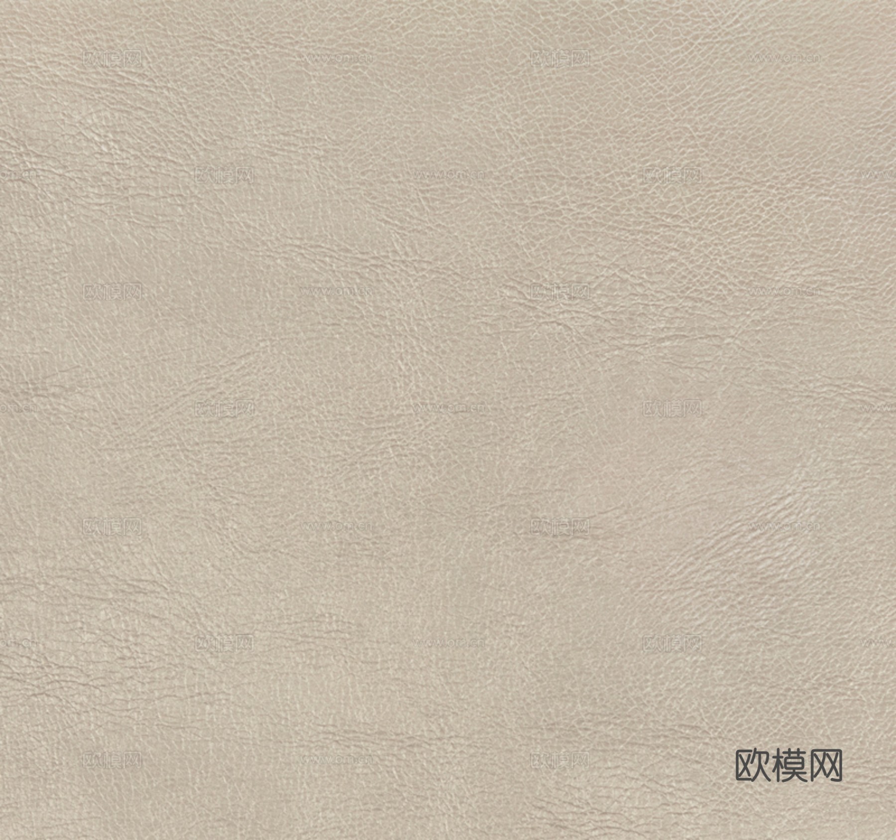 皮革 真皮下载