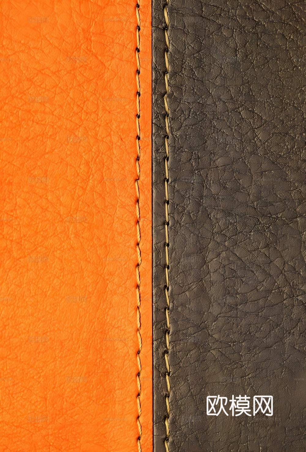 皮革 真皮下载