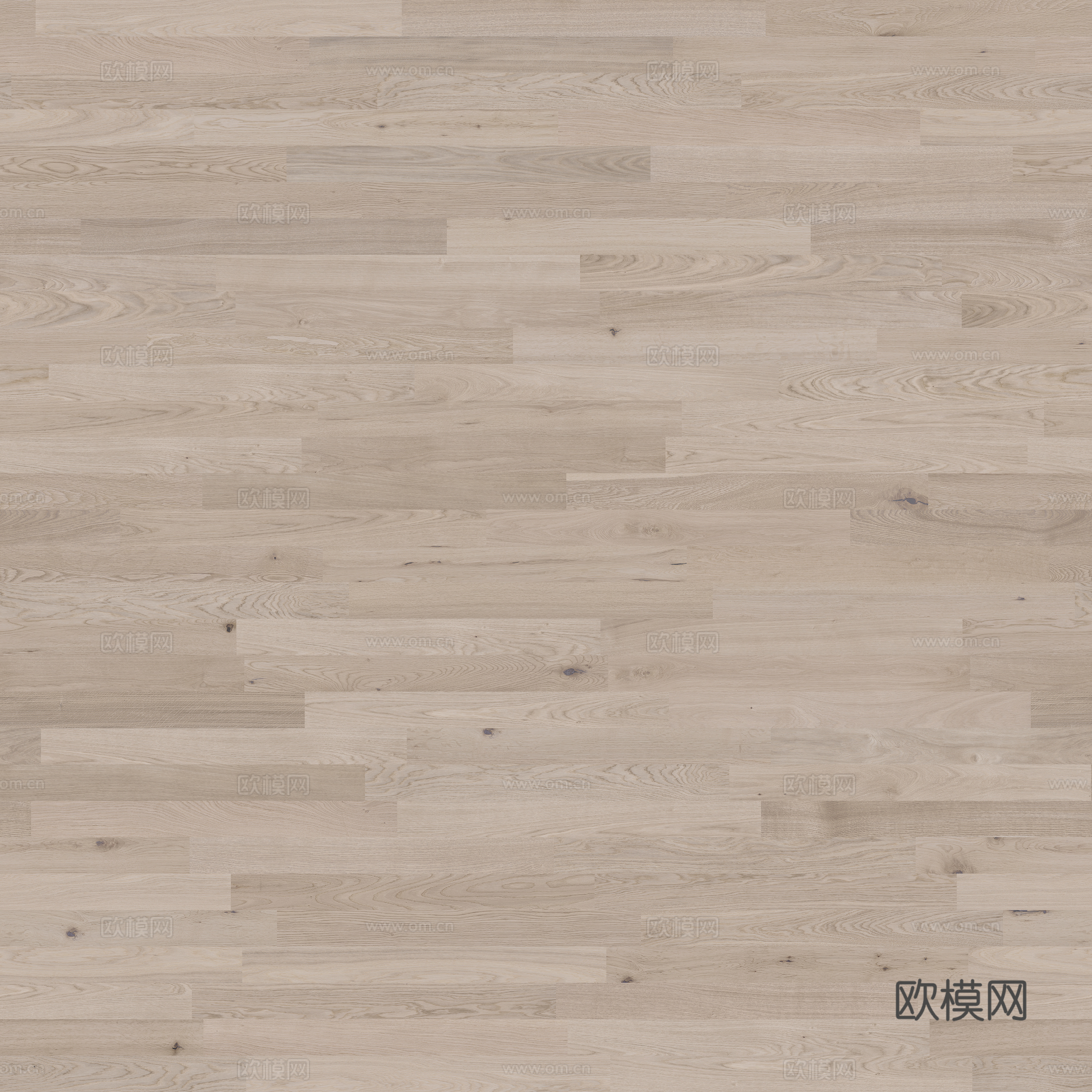 橡木地板  木纹  木地板 浅色木地板