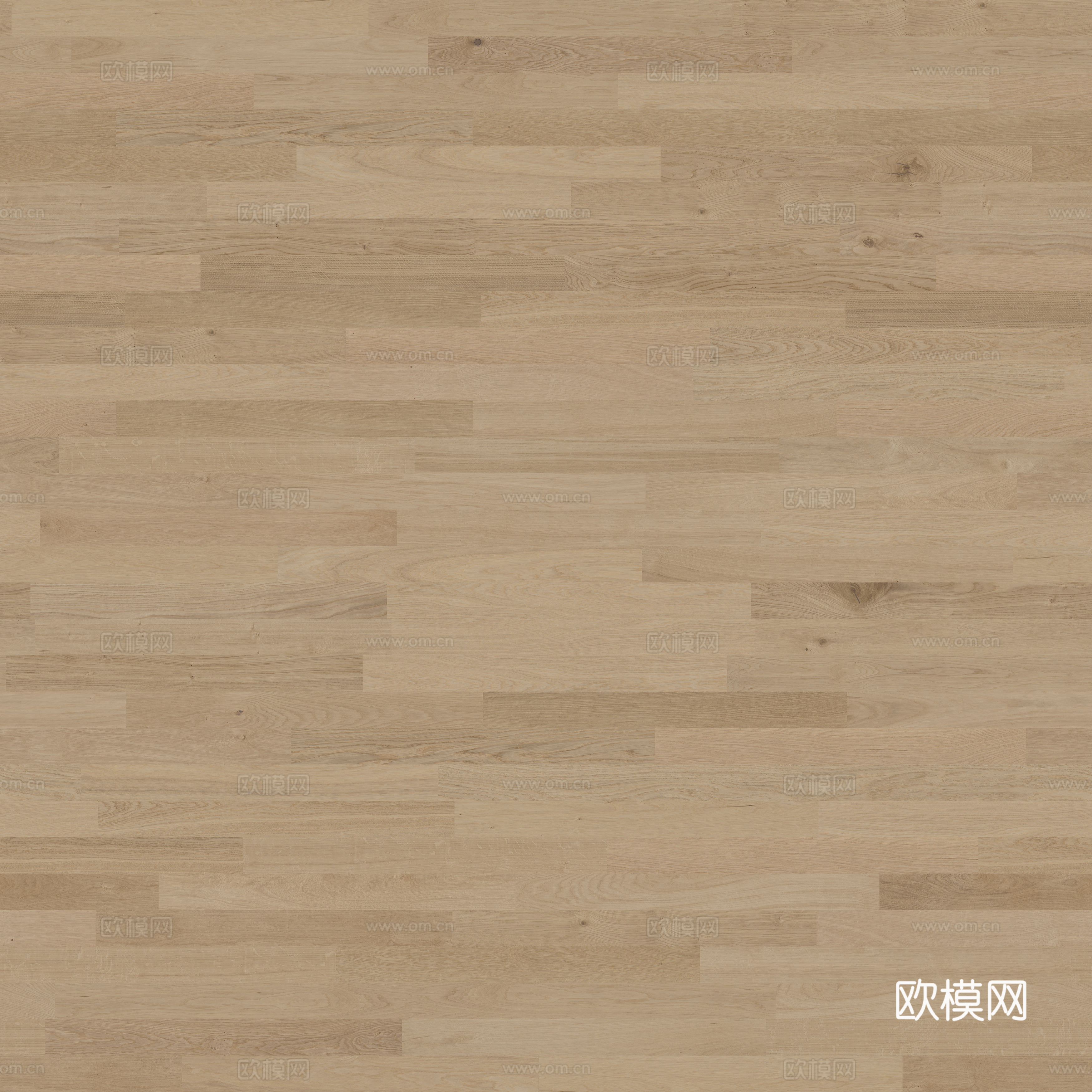 橡木地板  木纹  木地板 浅色木地板