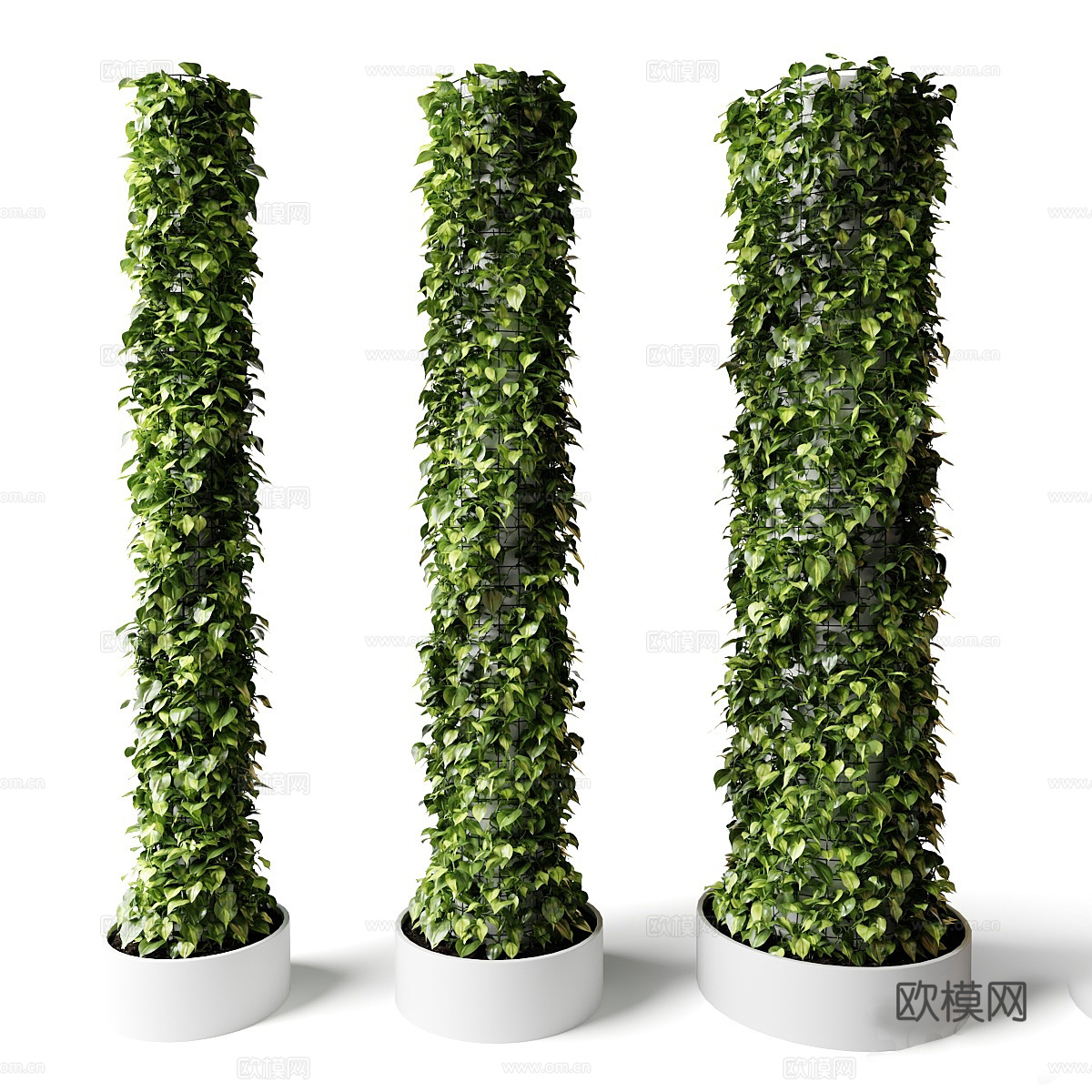 现代绿植墙 绿植装饰柱 景观绿植柱 爬藤 爬山虎 爬墙虎su模型下载（渲染图1）