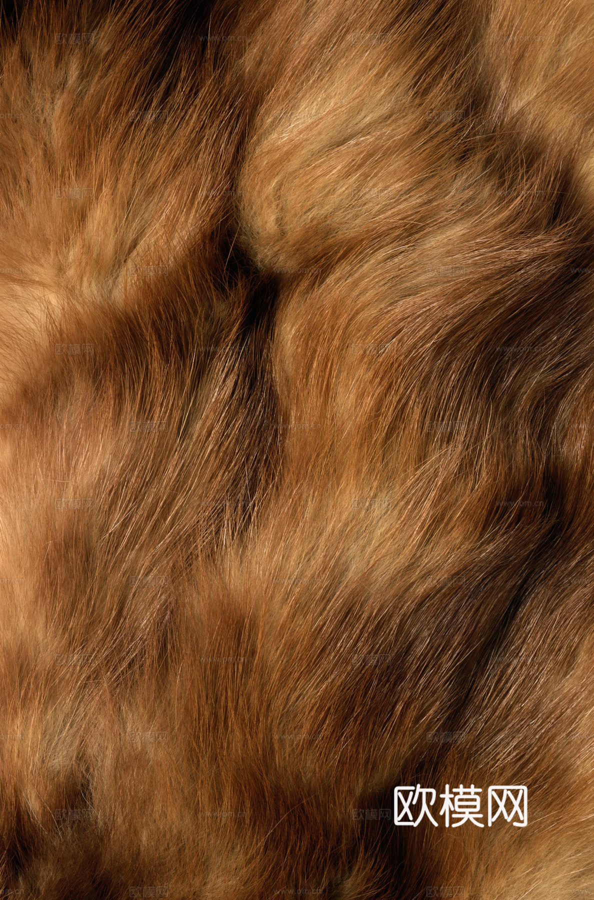 毛发 动物皮毛下载