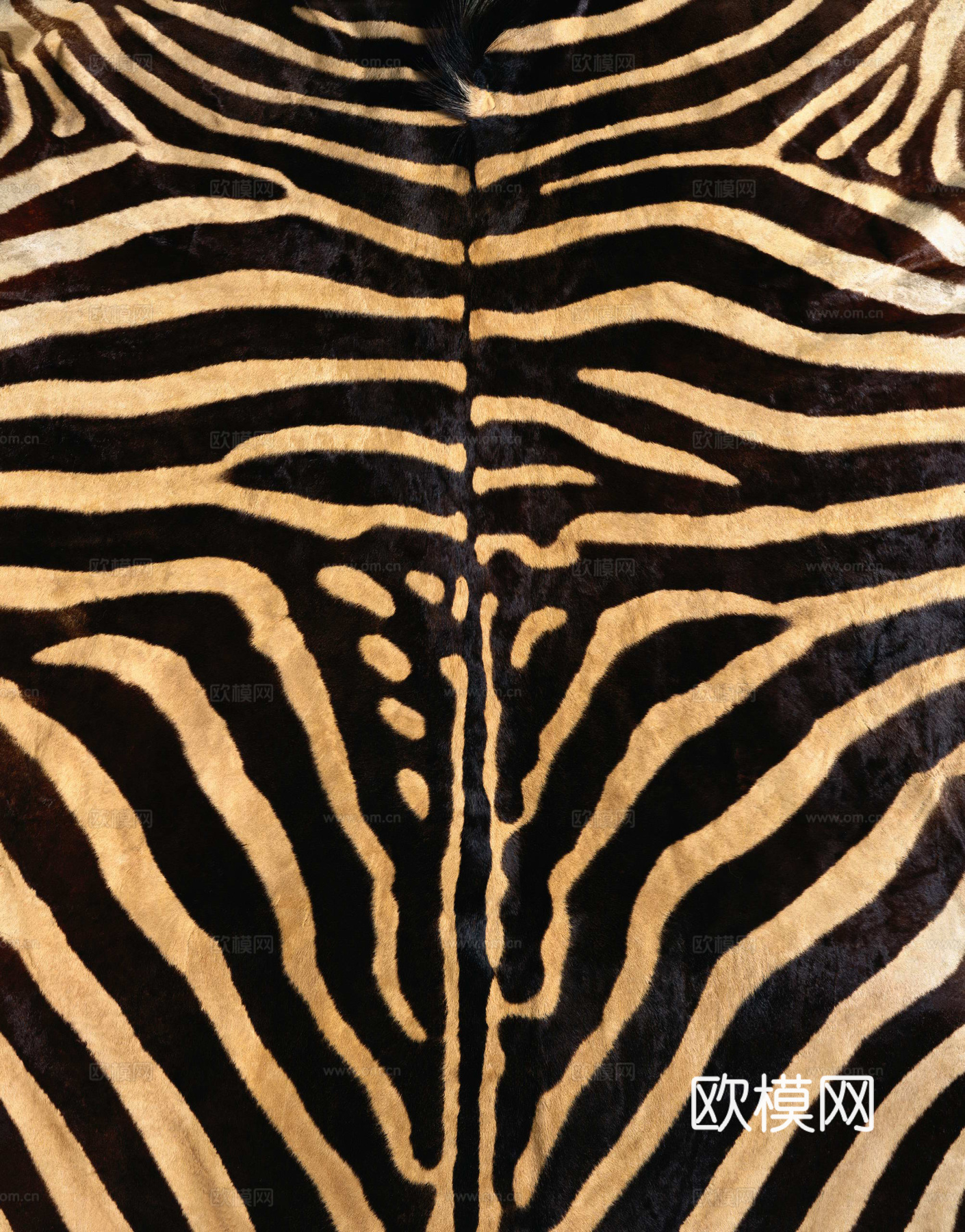 毛发 动物皮毛下载