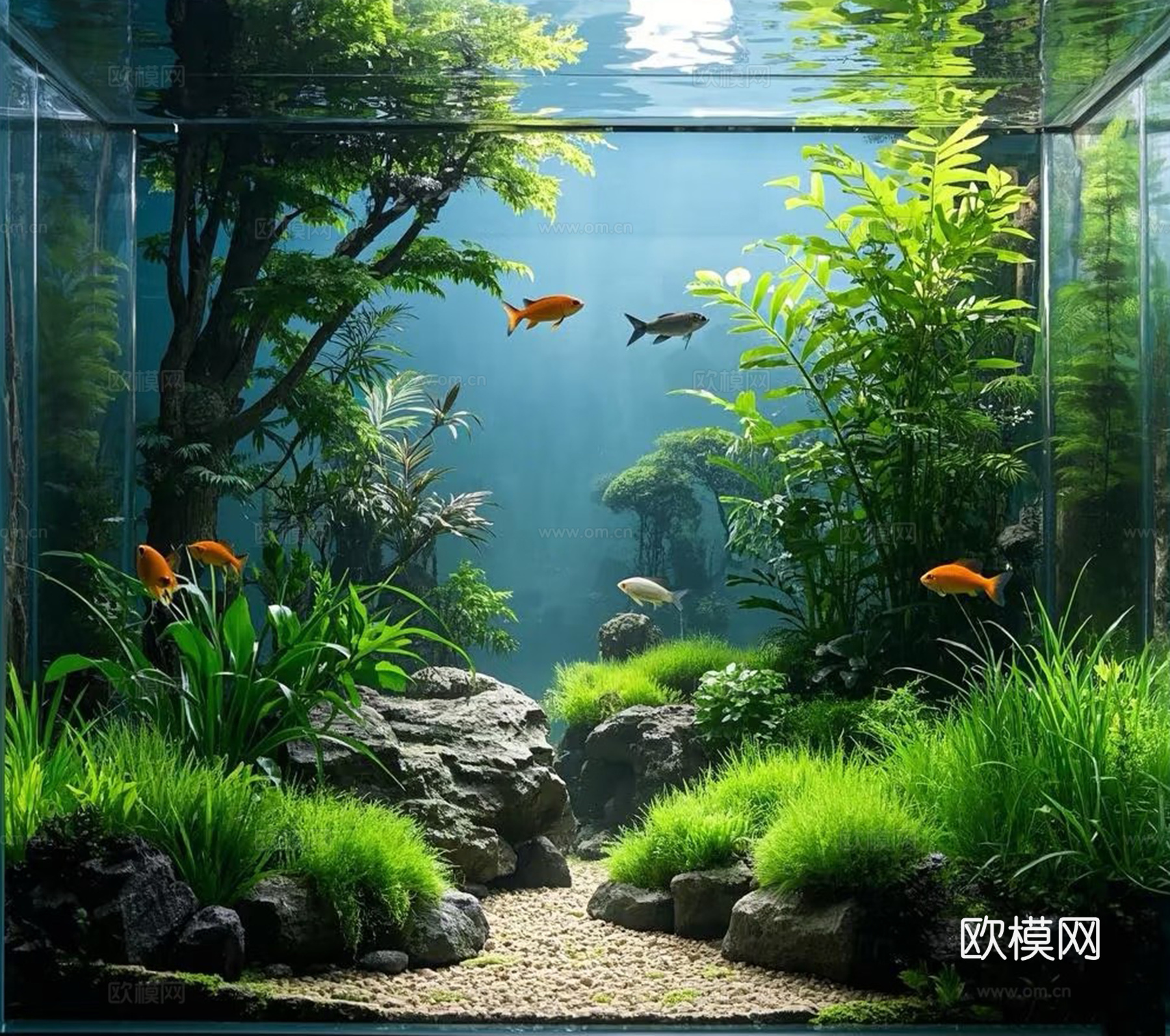 鱼缸造景