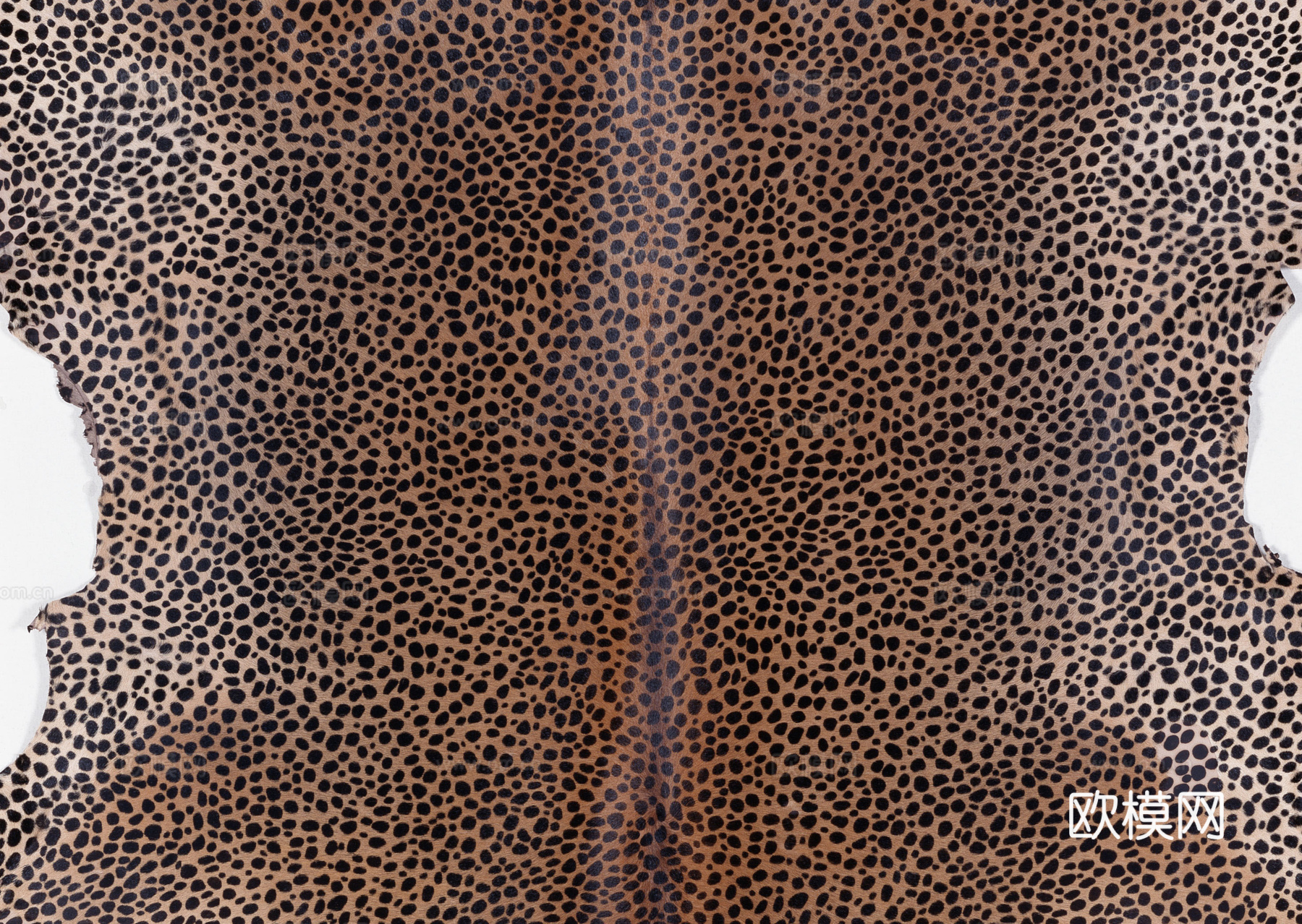 毛发 动物皮毛下载