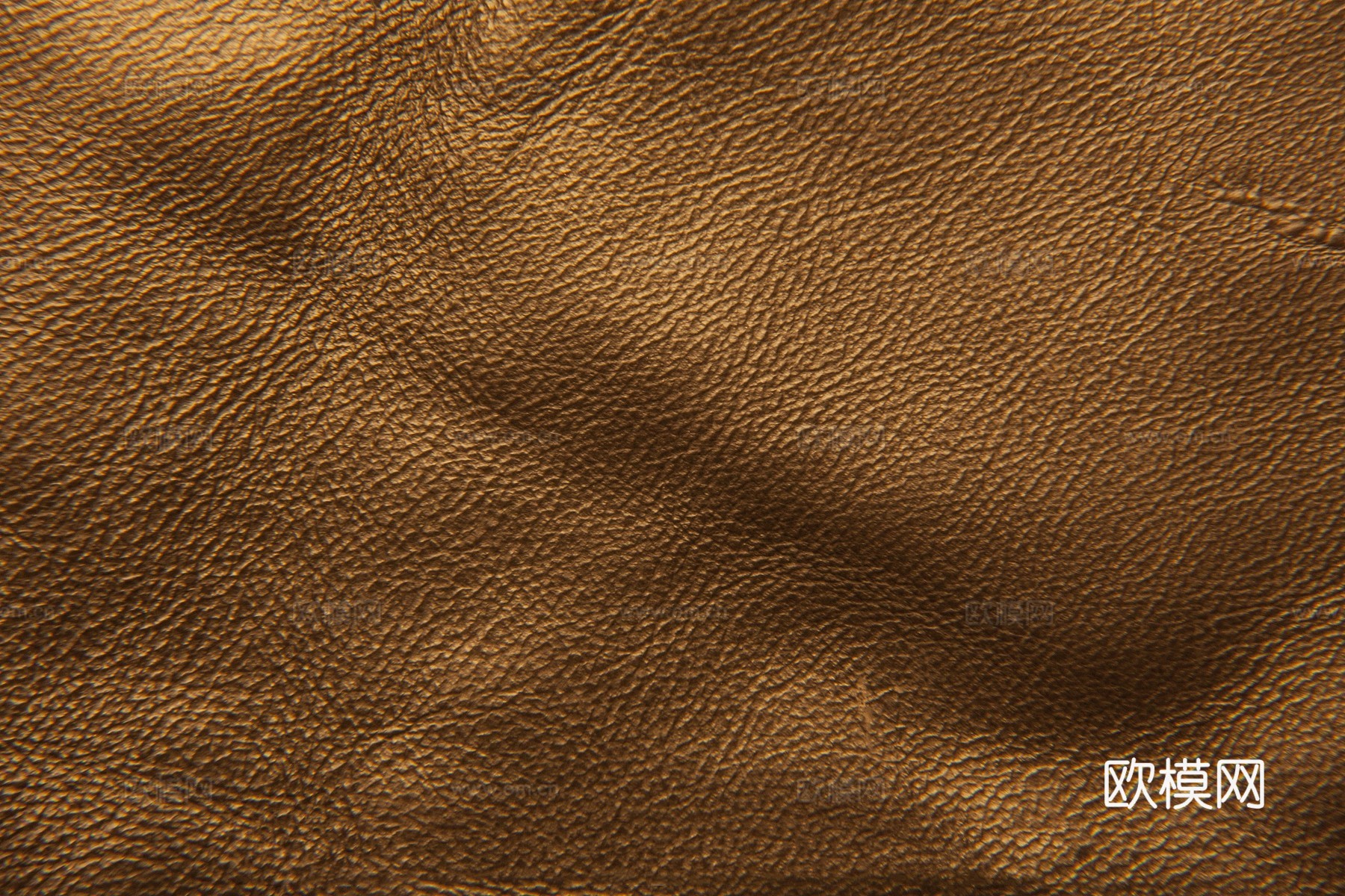 真皮 皮革下载