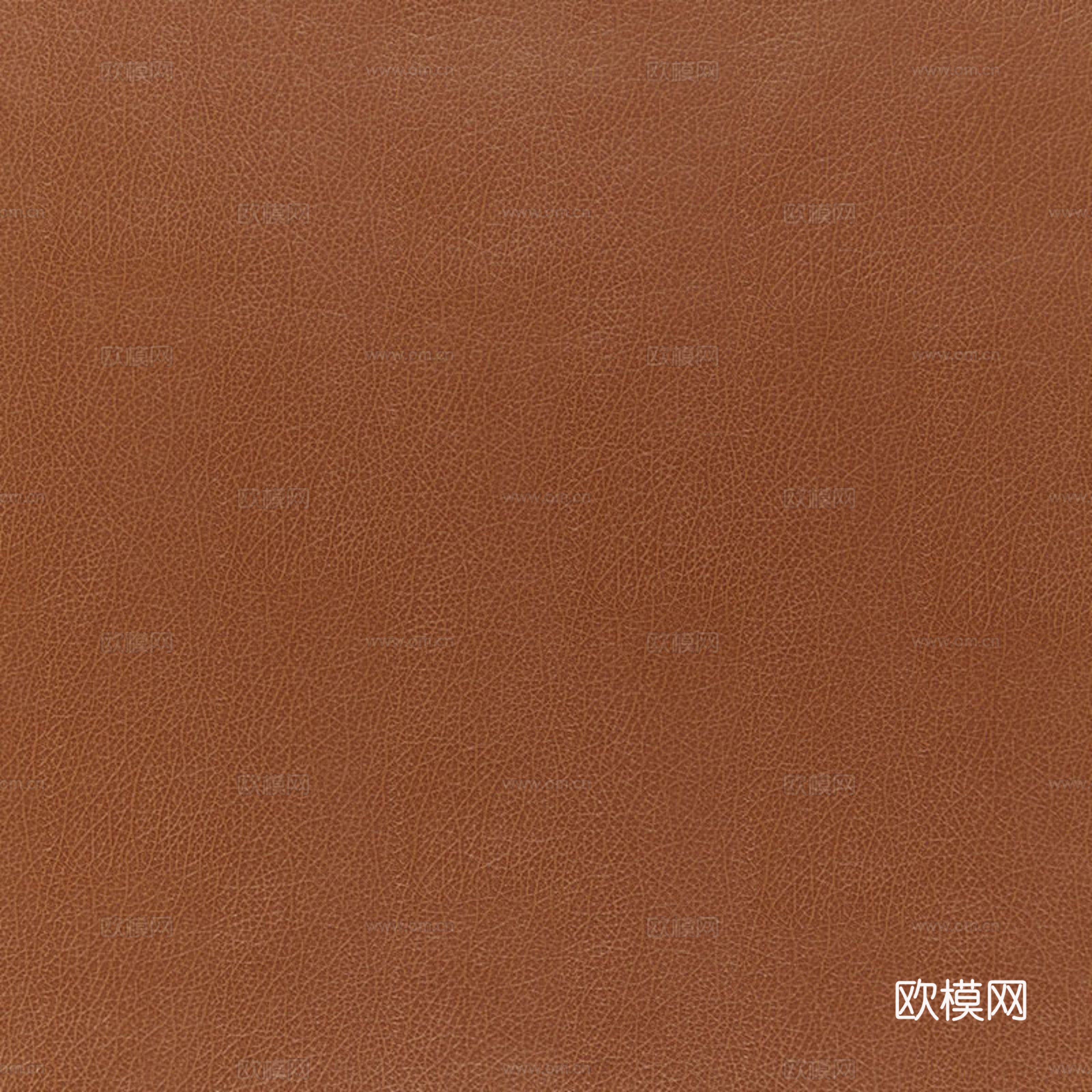 皮革 真皮下载