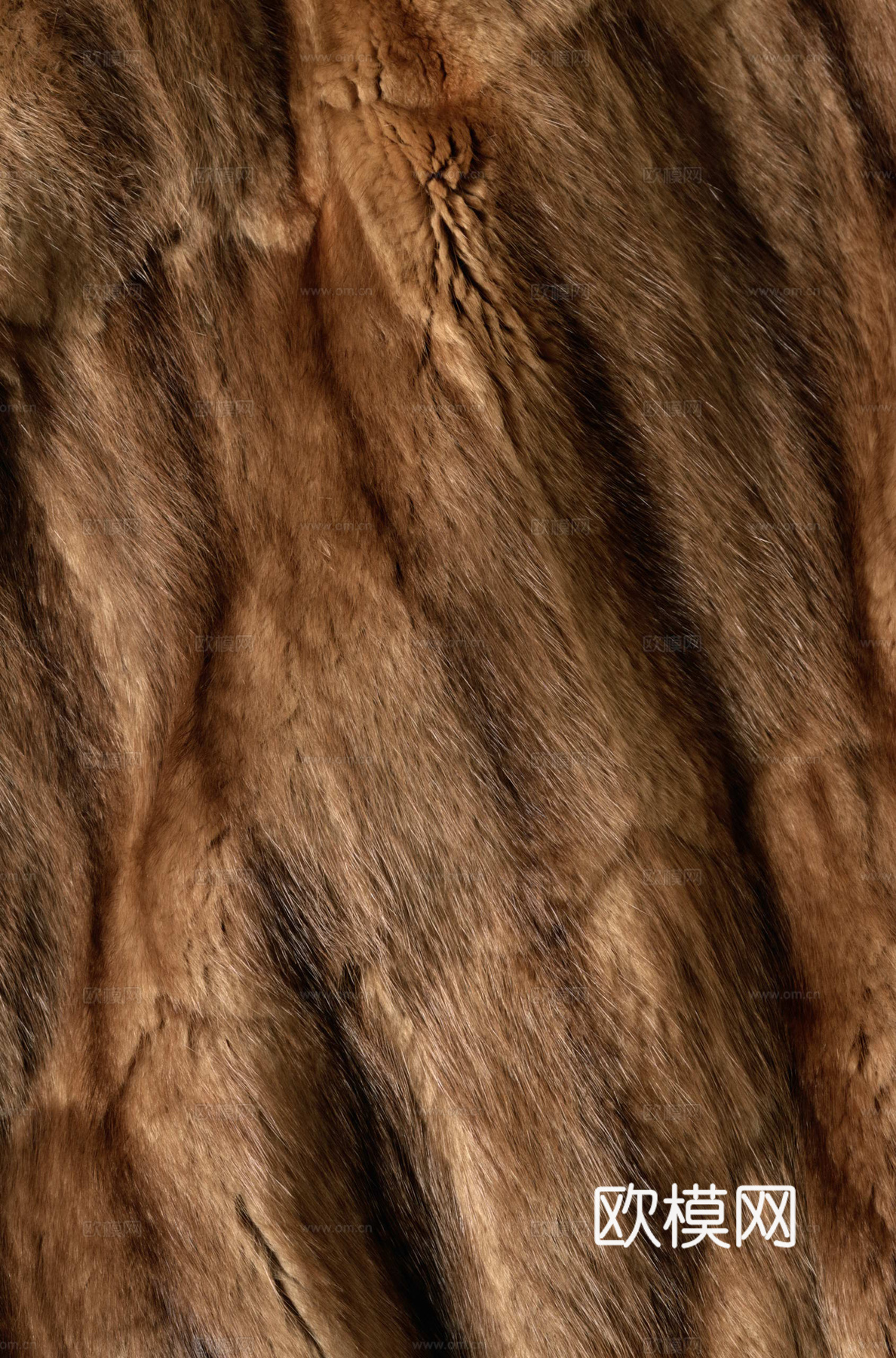 毛发 动物皮毛下载