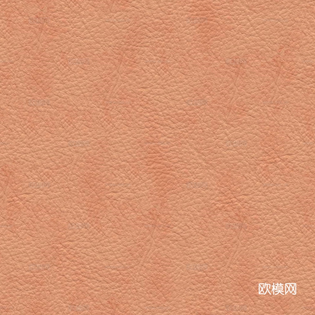 皮革 真皮