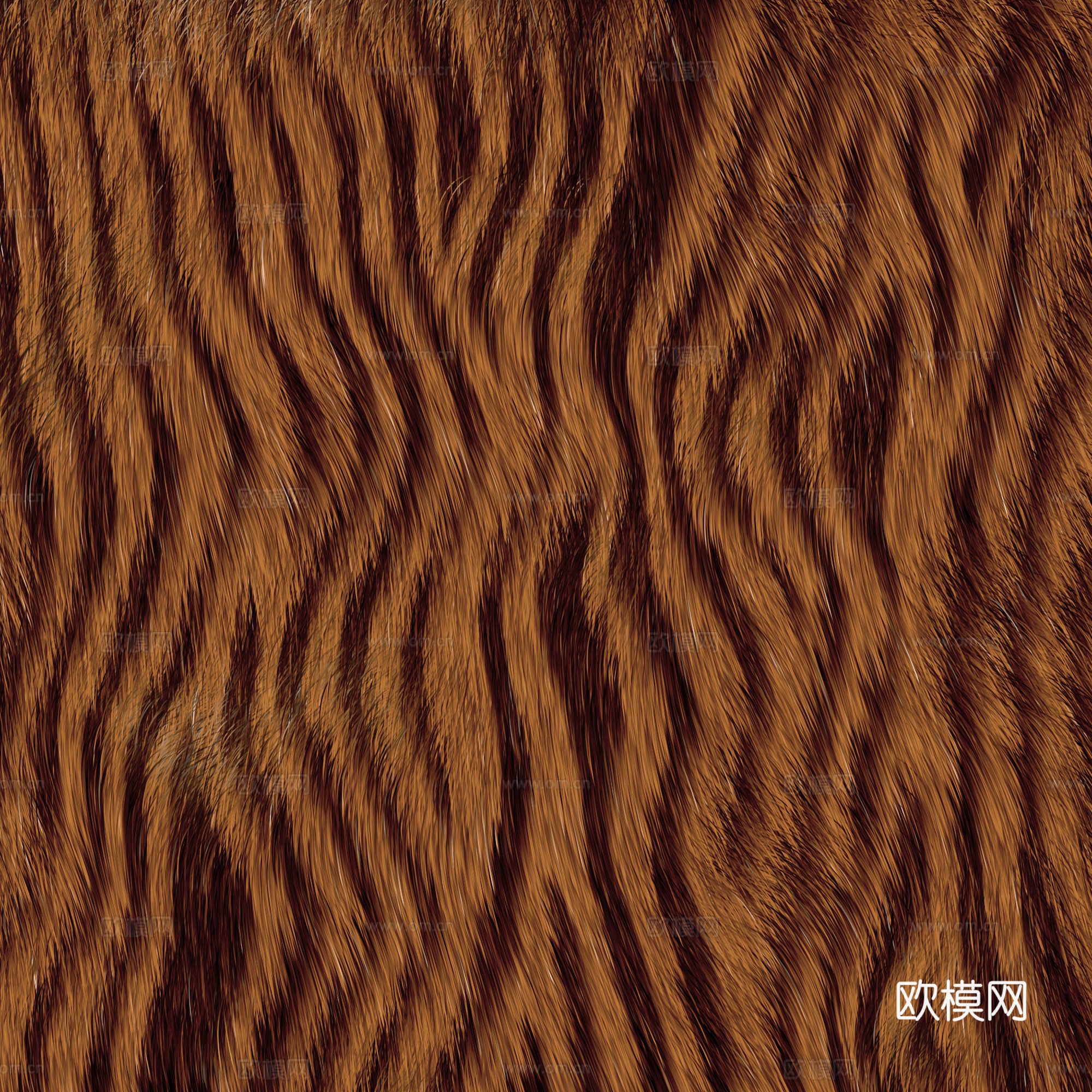 毛发 动物皮毛下载