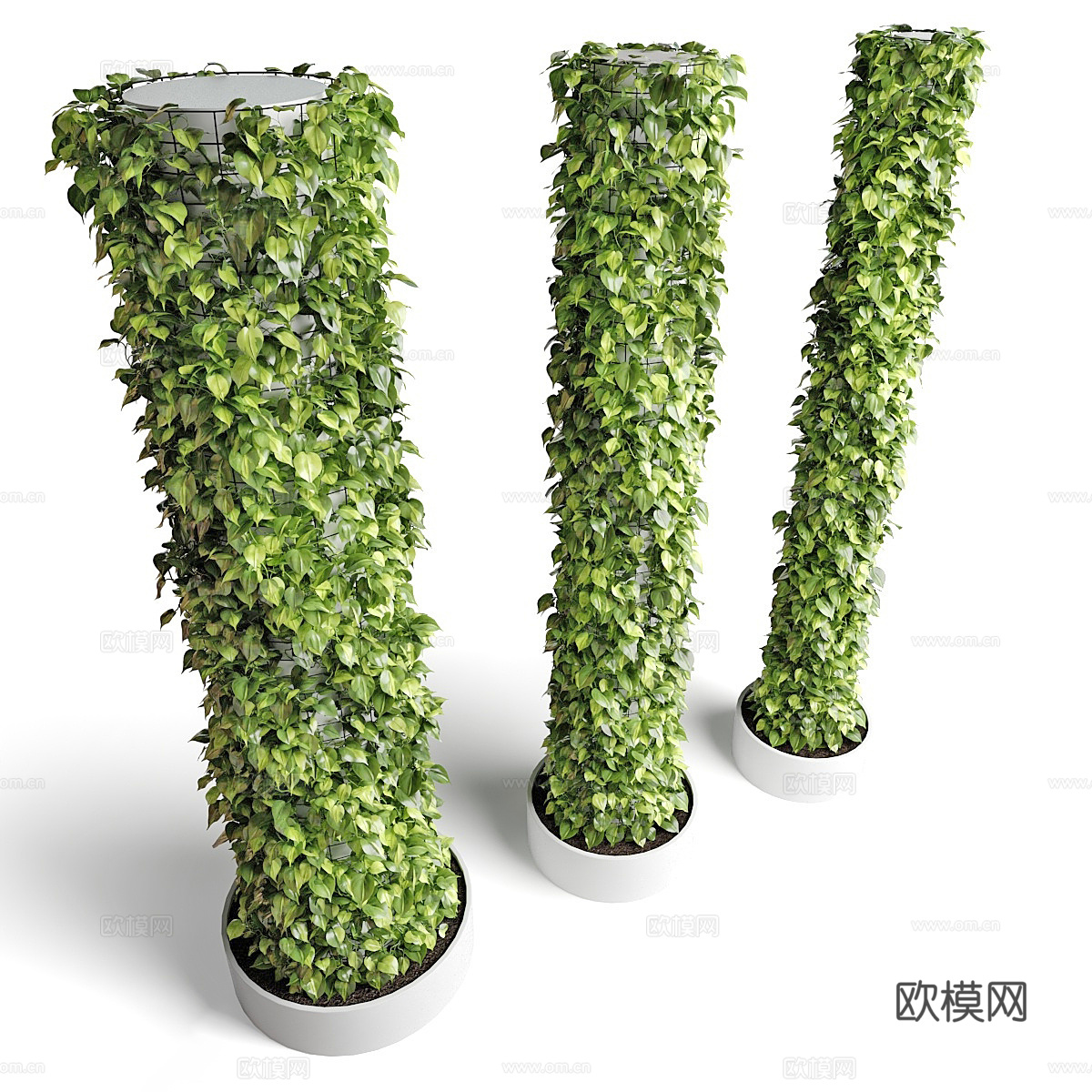 现代绿植柱 植物柱 竹子 藤蔓 爬山虎 爬墙虎 爬藤 绿篱3d模型