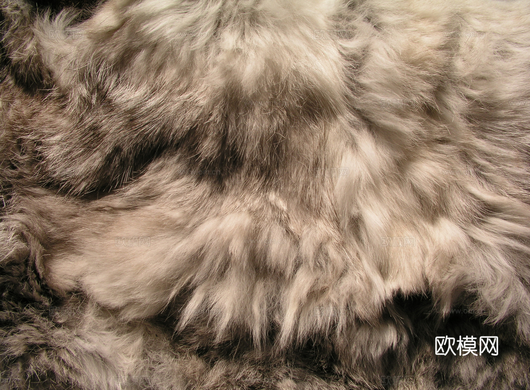 毛发 动物皮毛下载