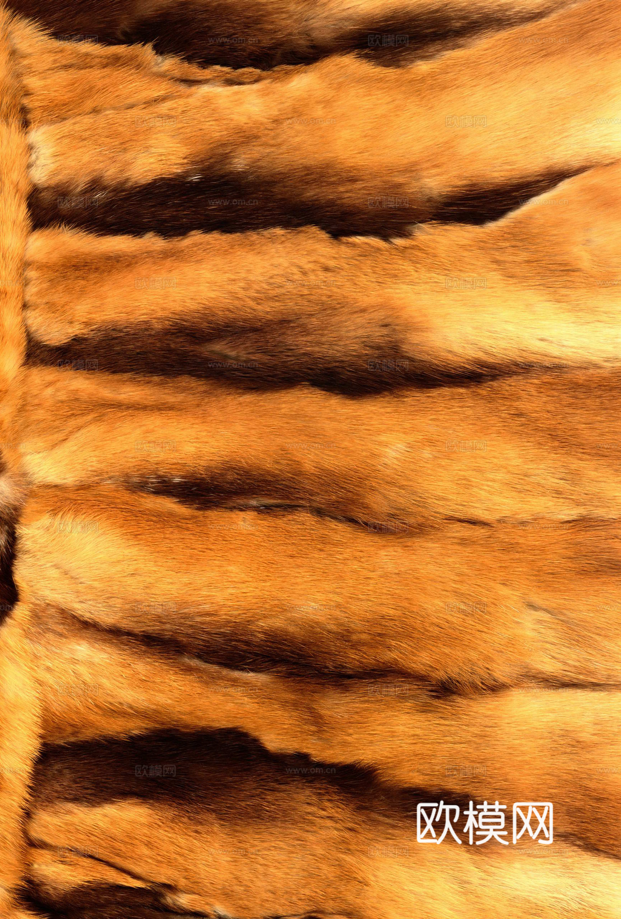 毛发 动物皮毛下载