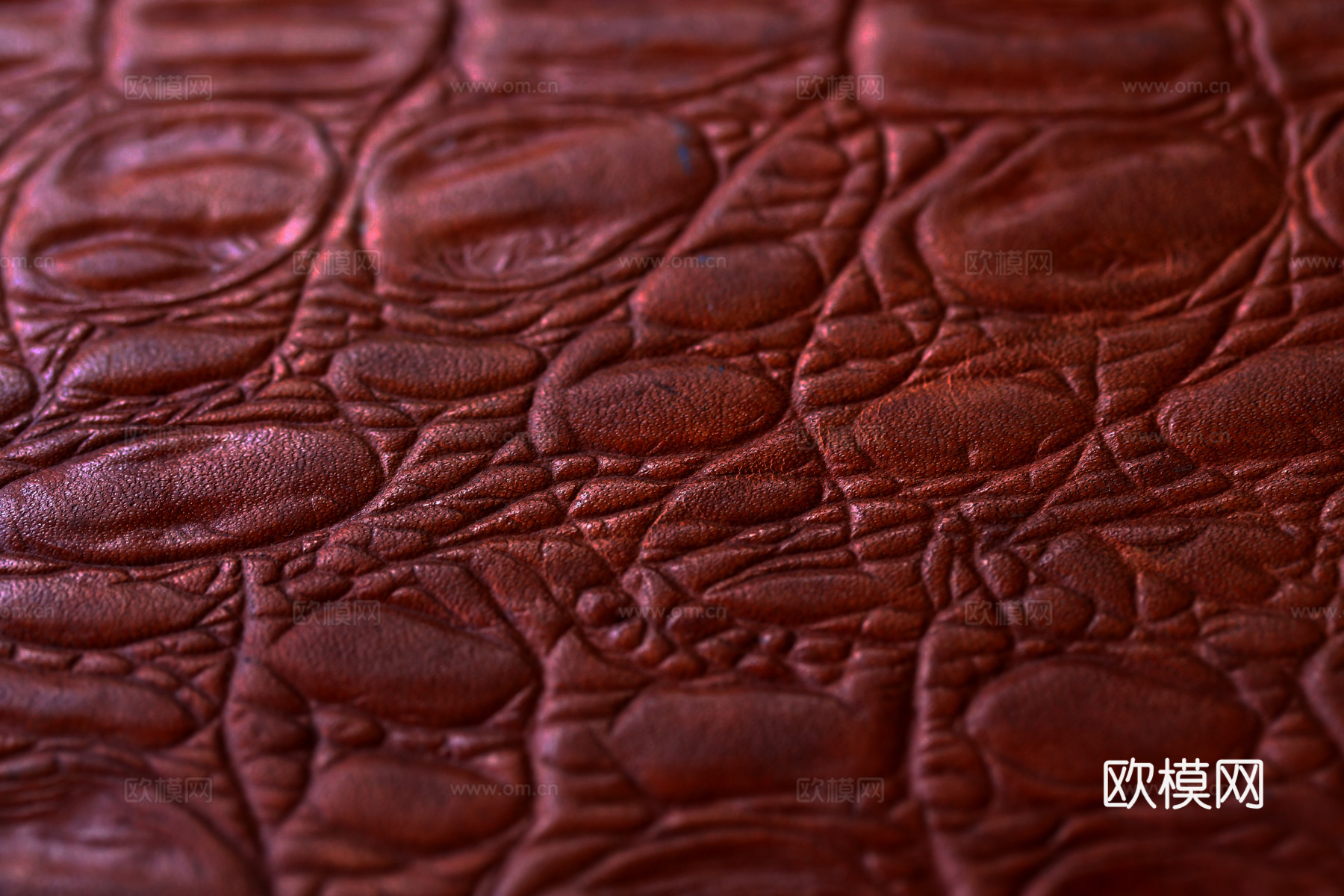 真皮 皮革下载