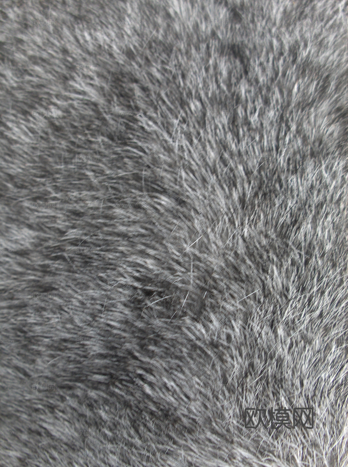 毛发 动物皮毛下载