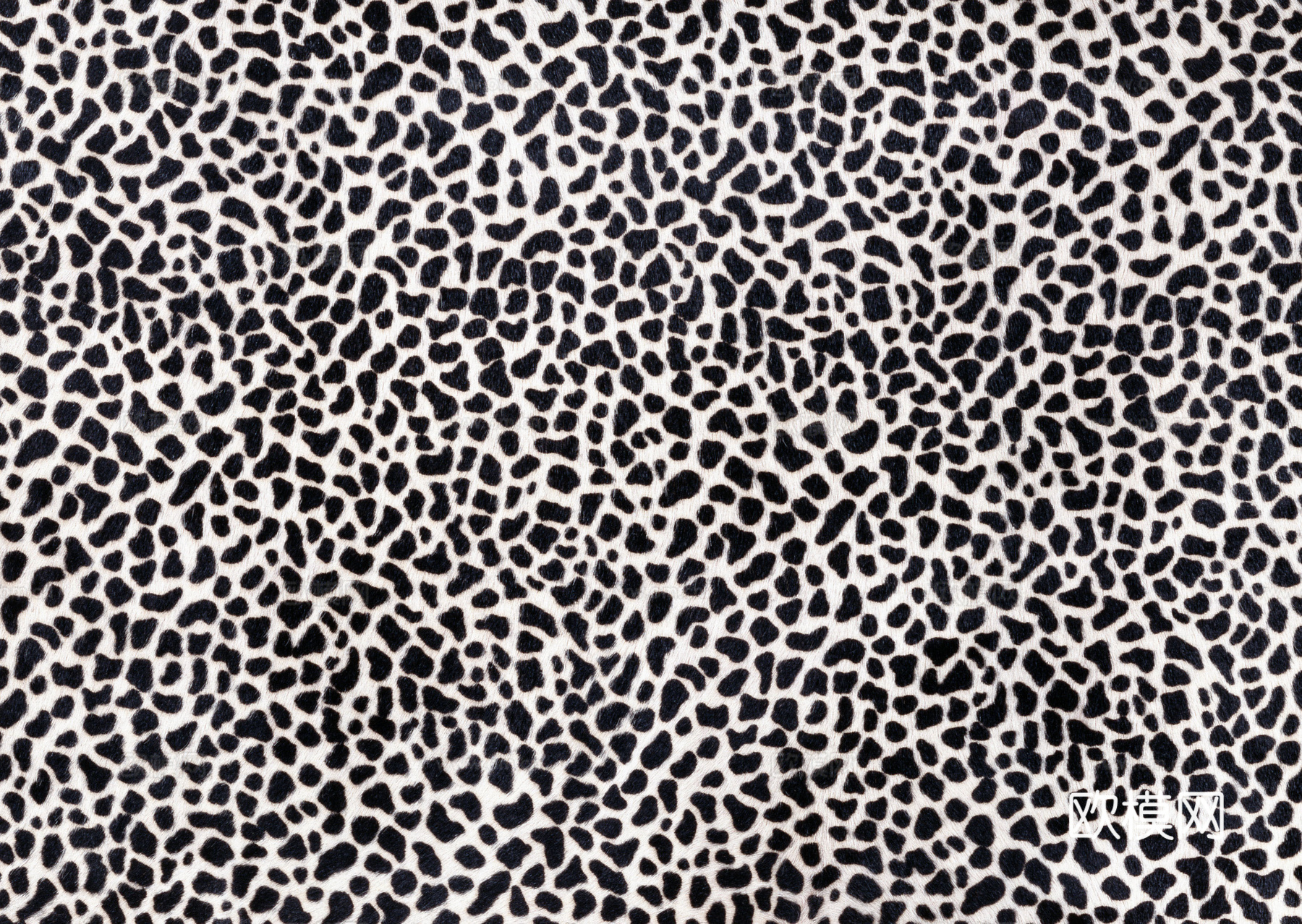 毛发 动物皮毛下载