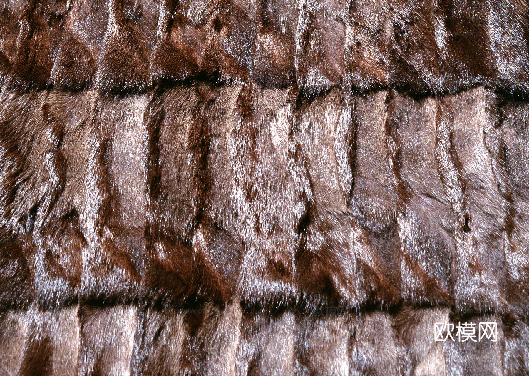 毛发 动物皮毛下载