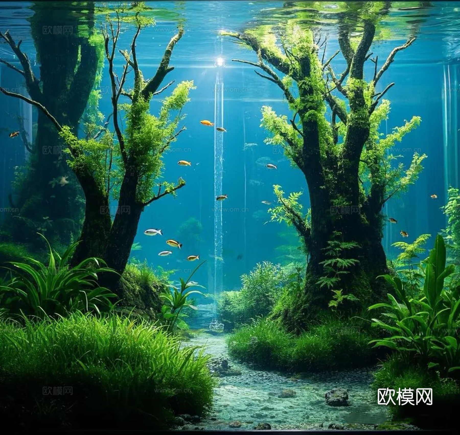 鱼缸造景