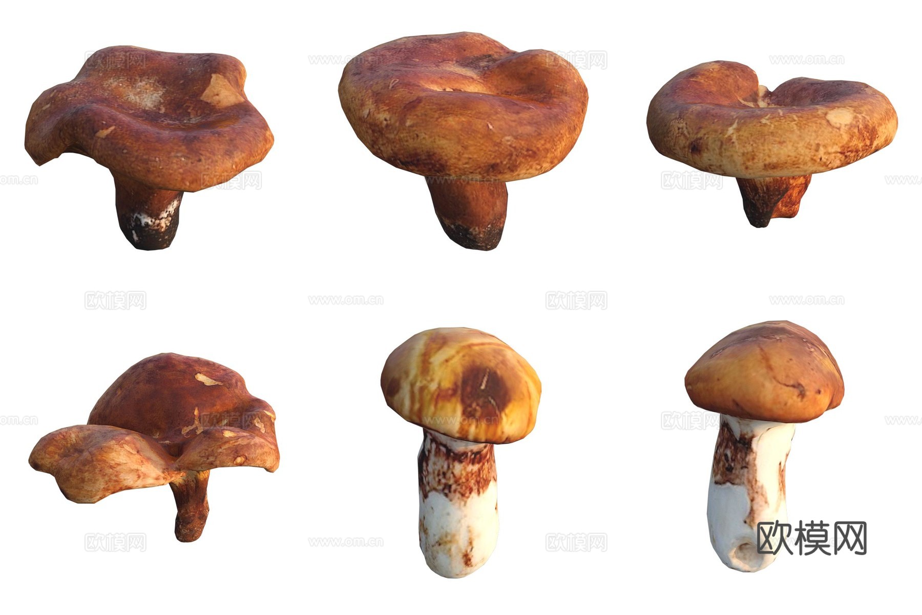 蘑菇菌类3d模型下载