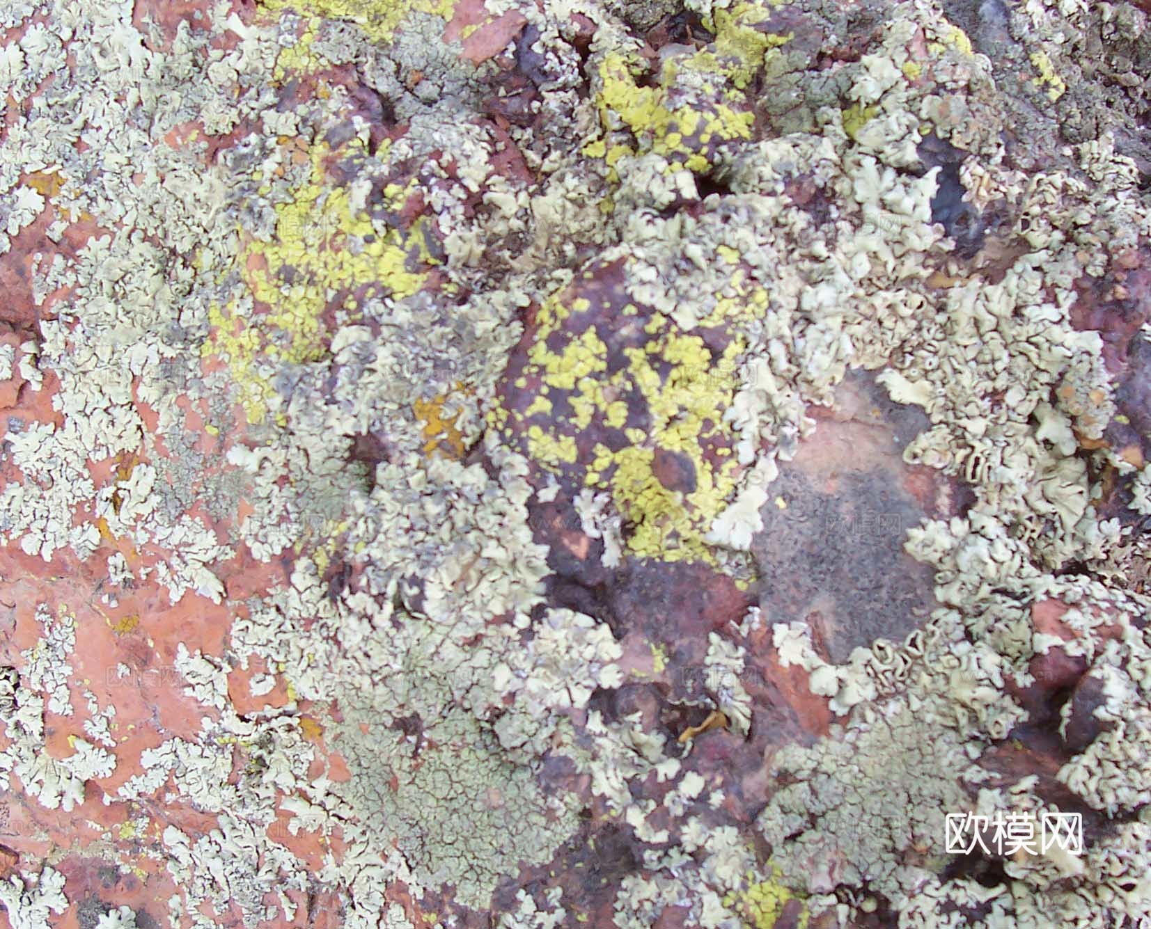 石材 岩石 石头下载