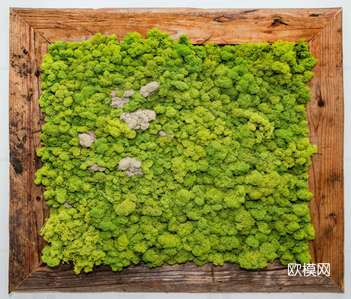 现代 植物墙下载