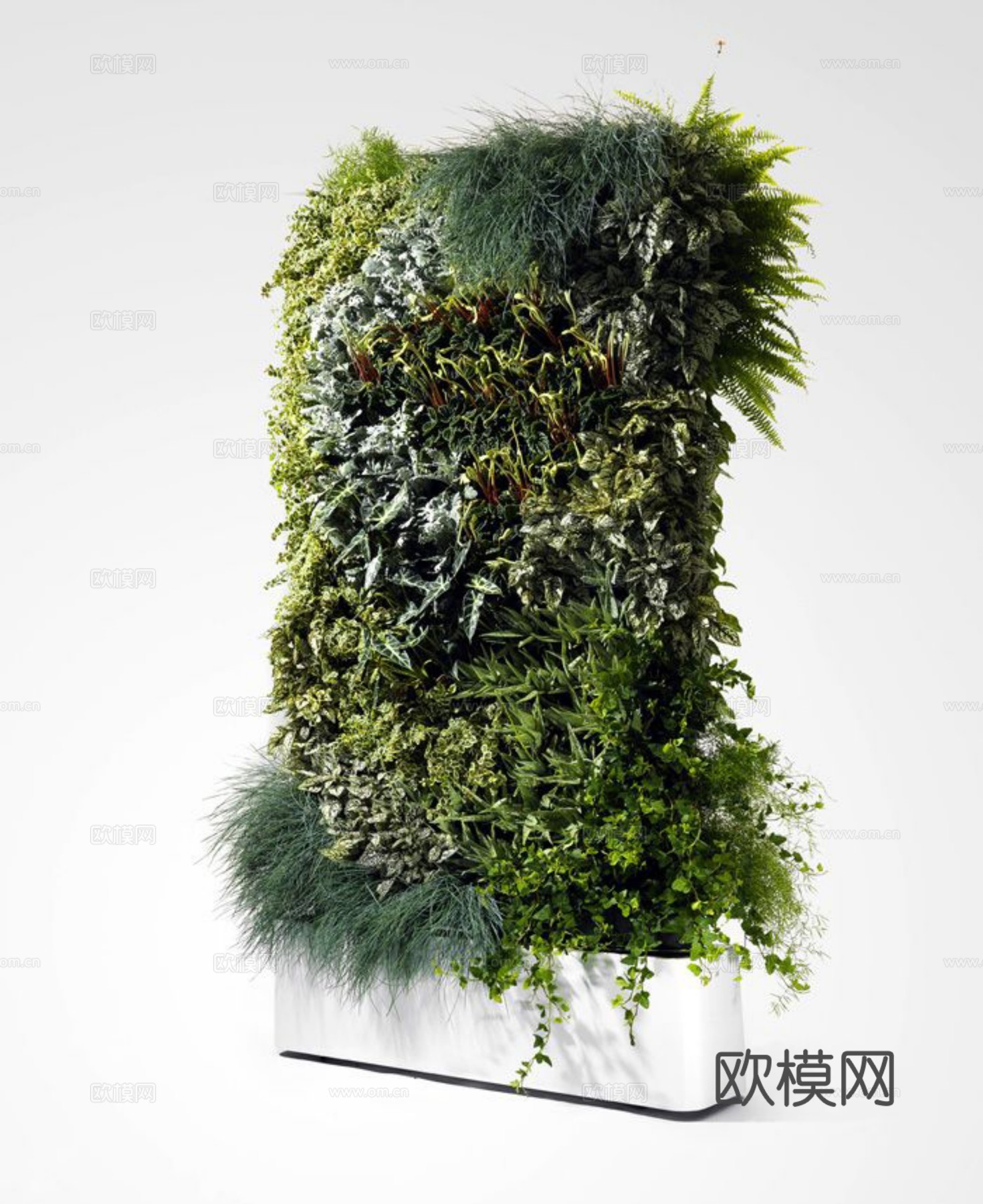 植物墙