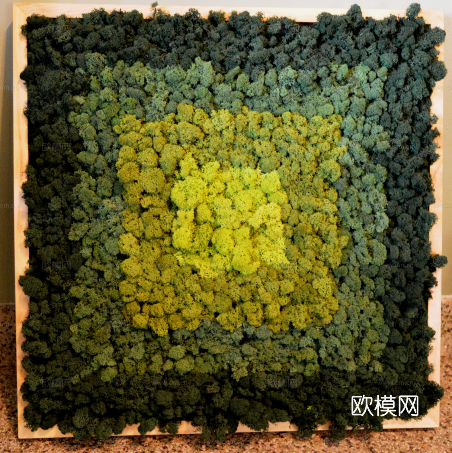 现代 植物墙下载