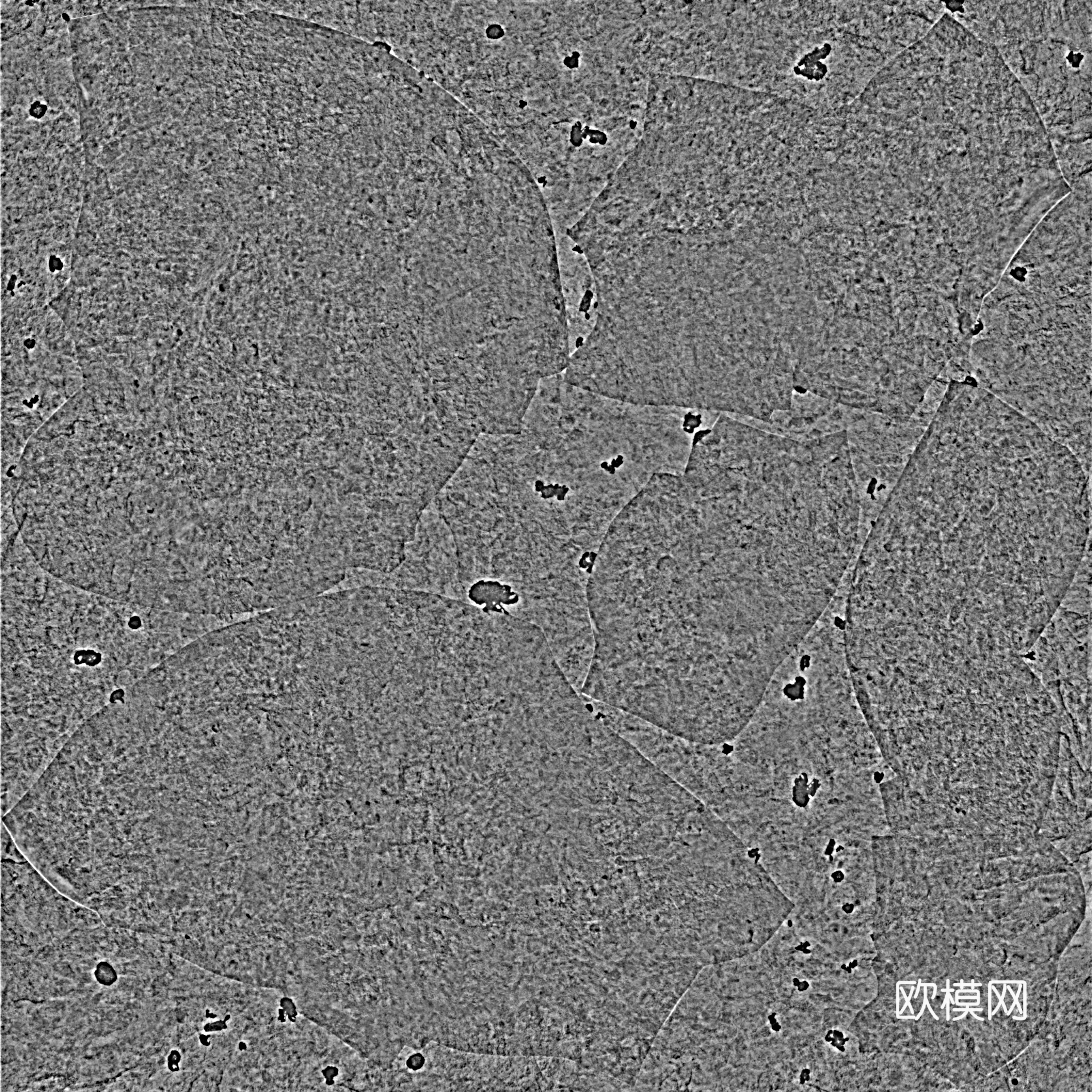 灰色地砖 现代墙砖   地砖