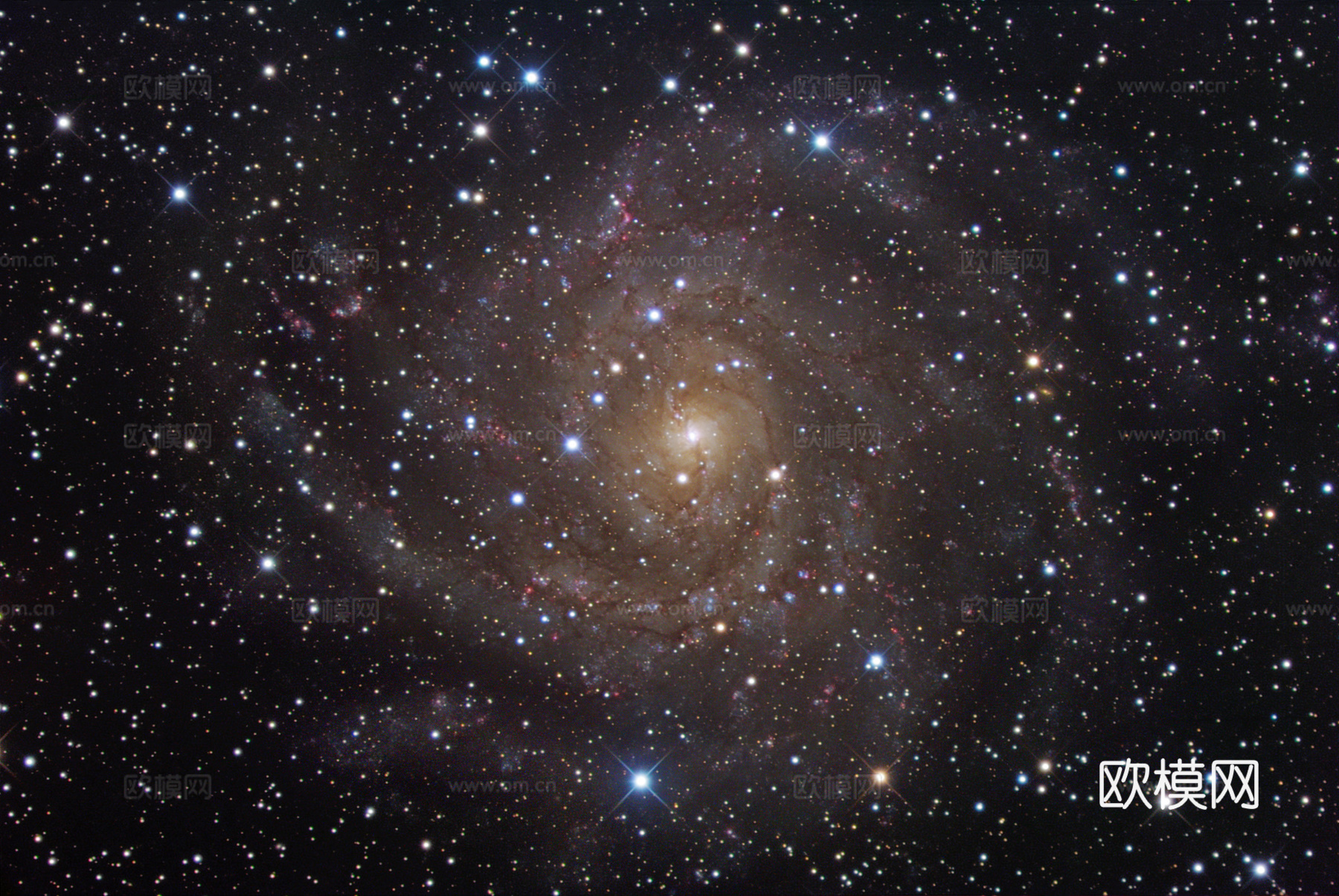 装饰画 电子显示屏下载