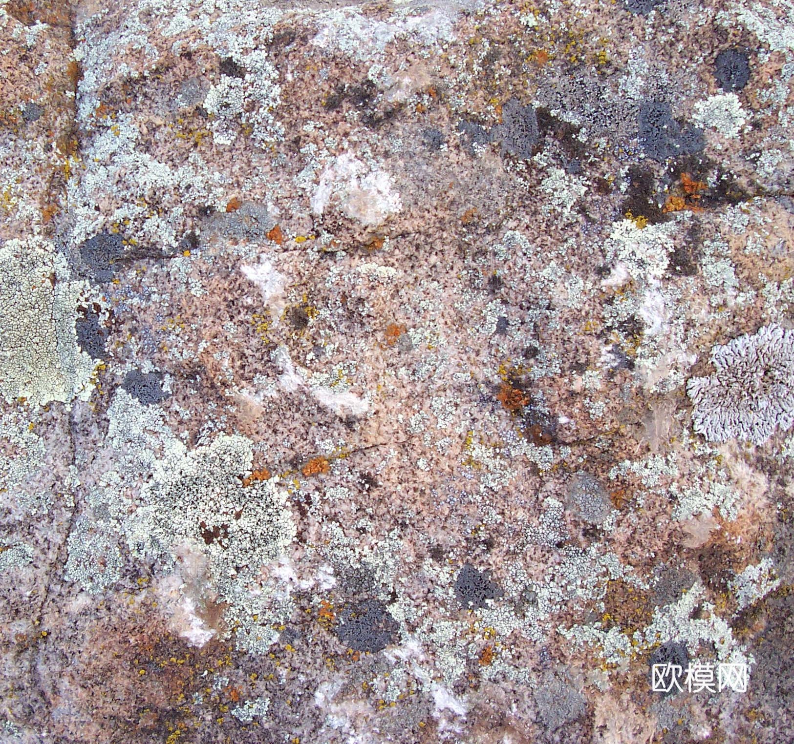 石材 岩石 石头下载