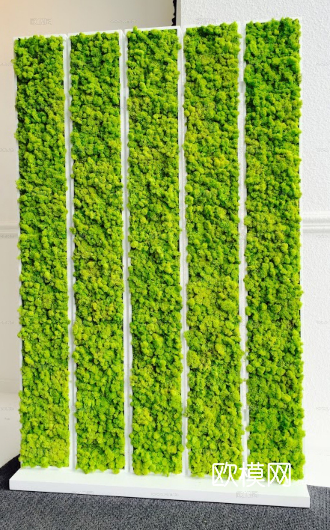 现代 植物墙下载