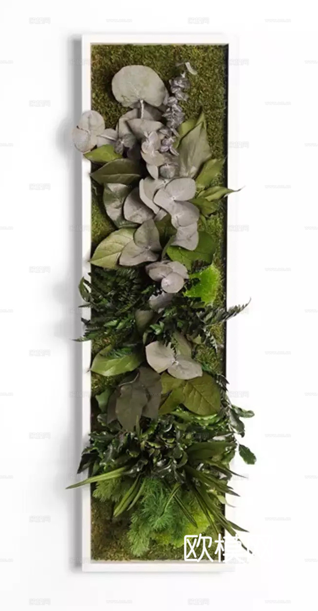 现代 植物墙下载