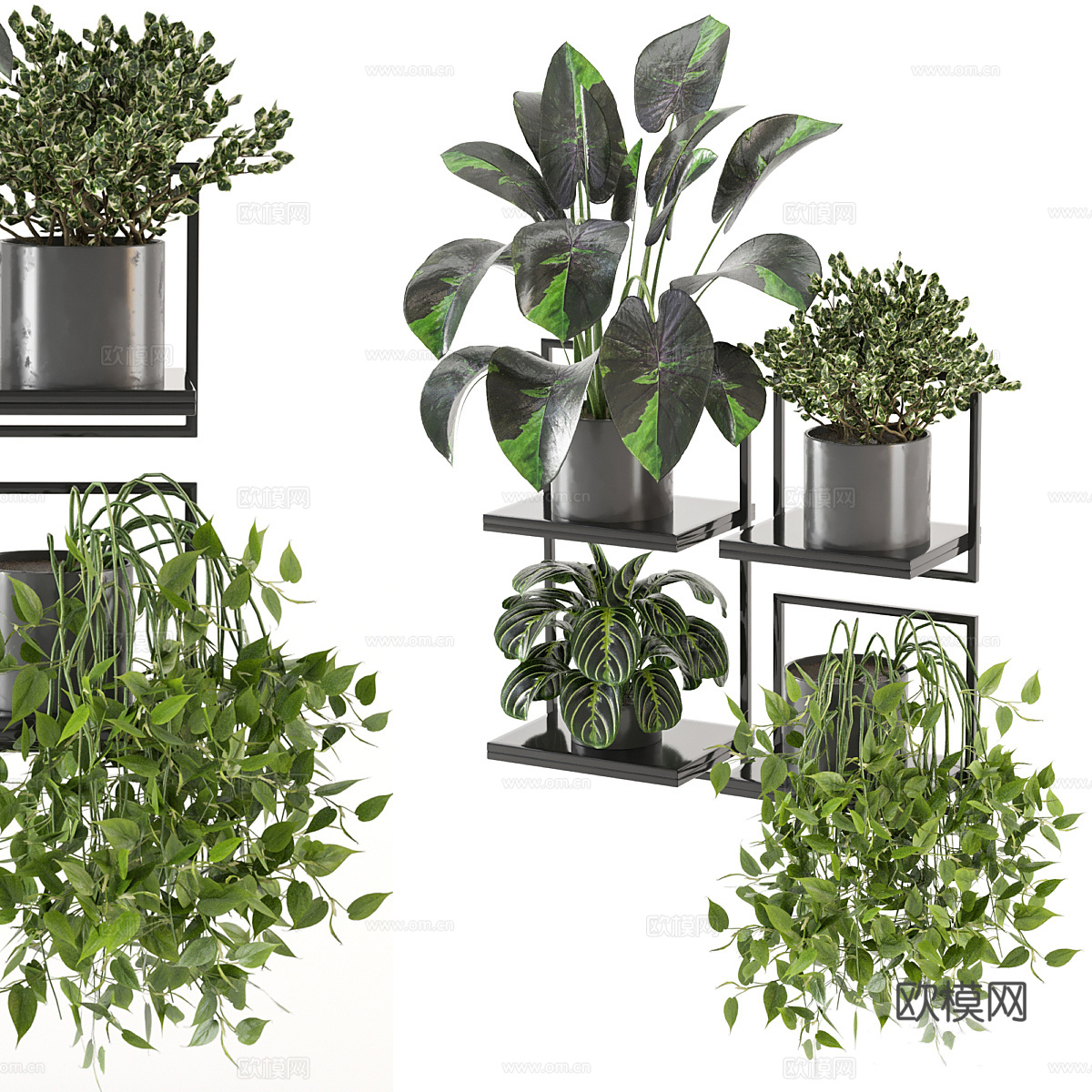 植物盆栽架3d模型