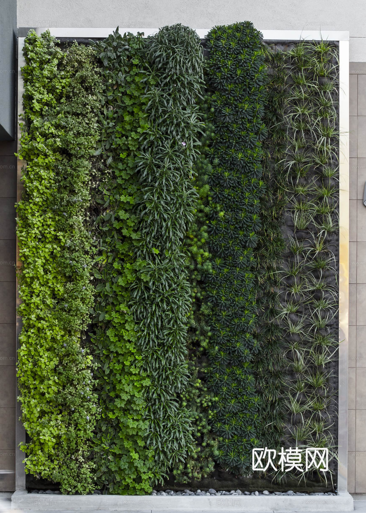 植物墙