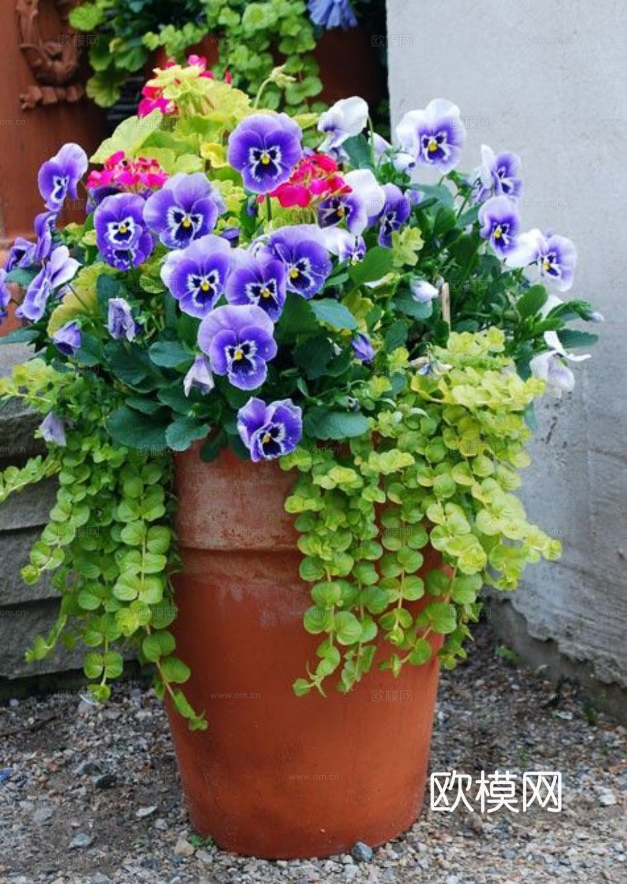 现代 植物墙下载