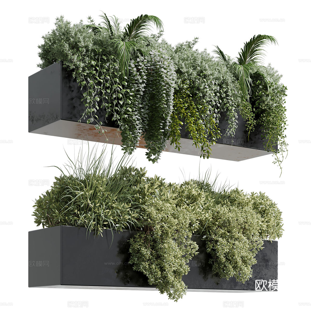 悬挂植物3d模型