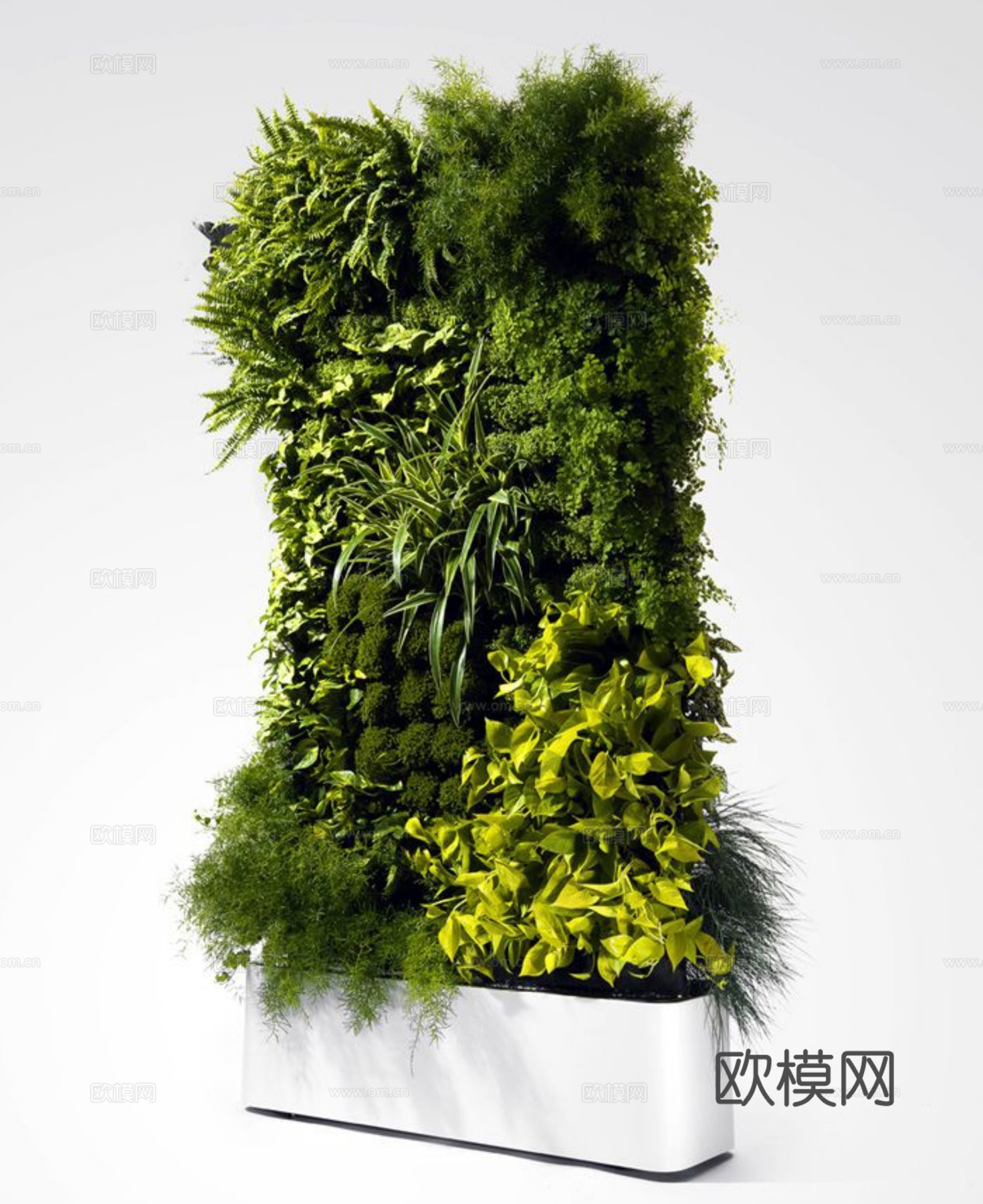 现代 植物墙下载