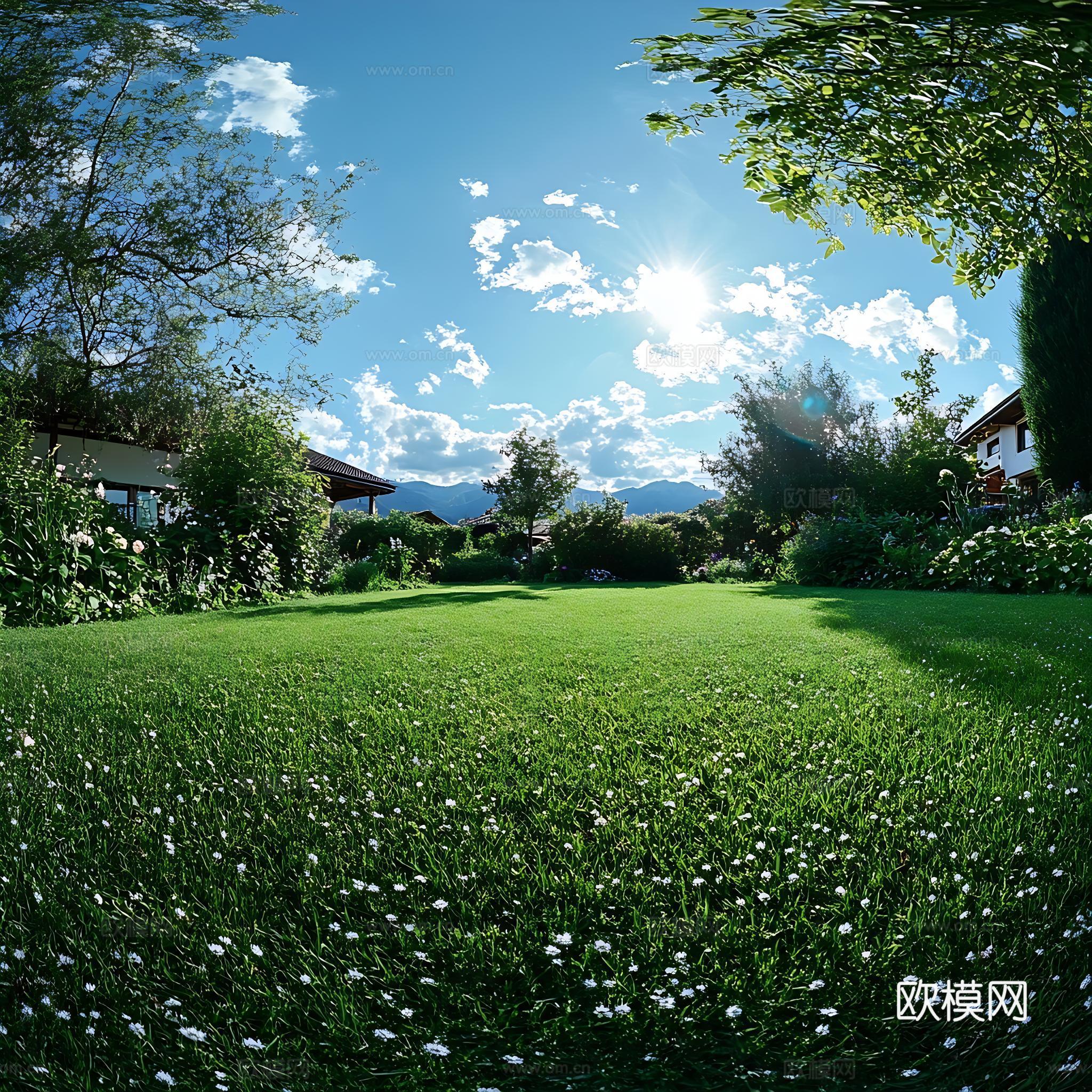白天室外草地