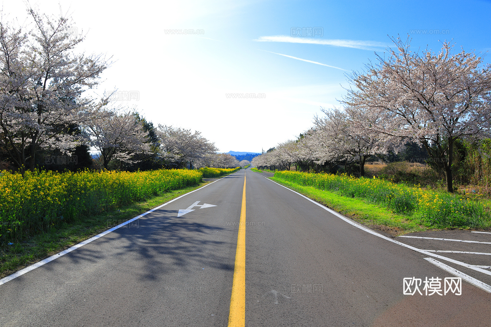 乡村道路