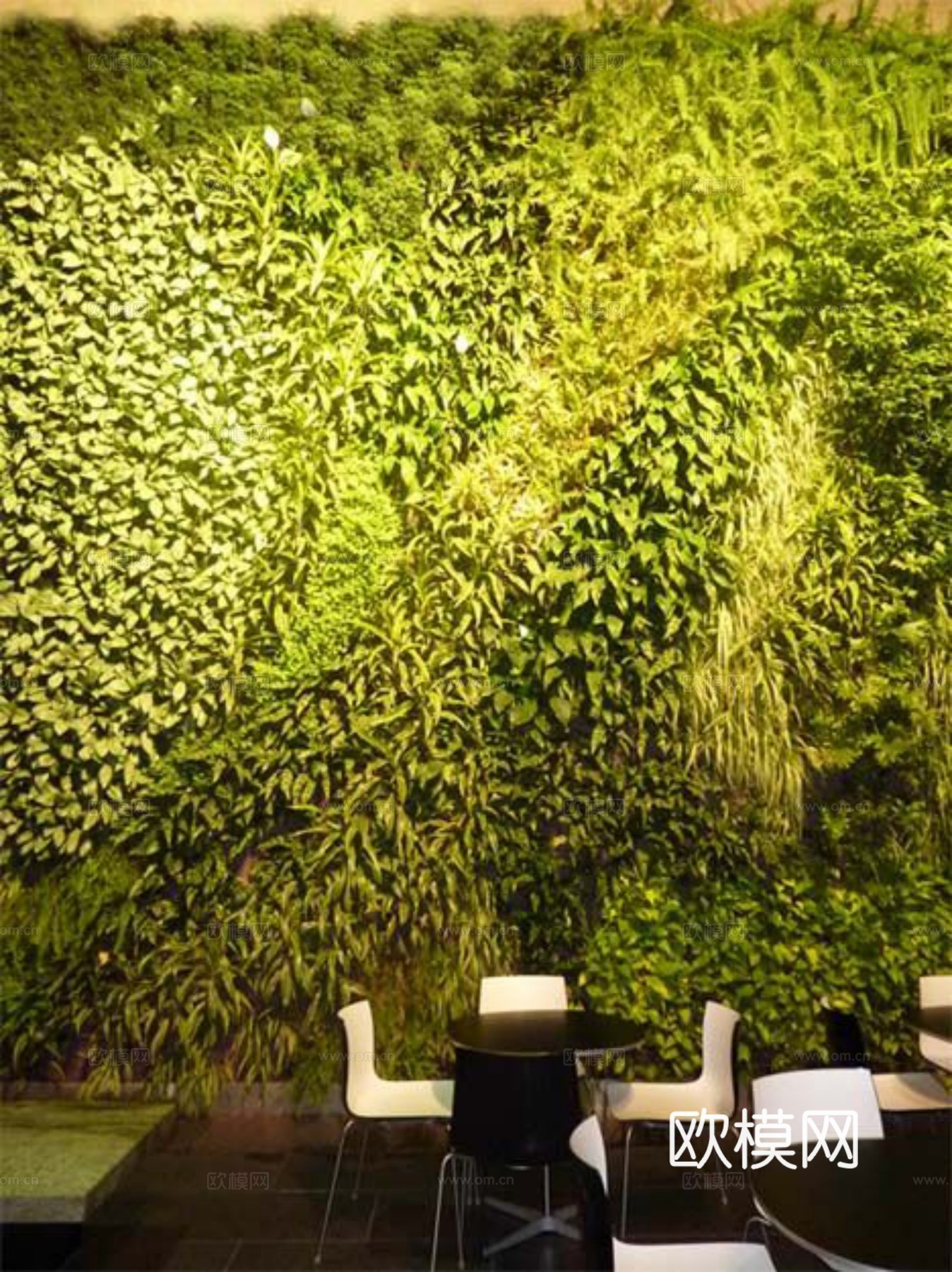 现代 植物墙下载
