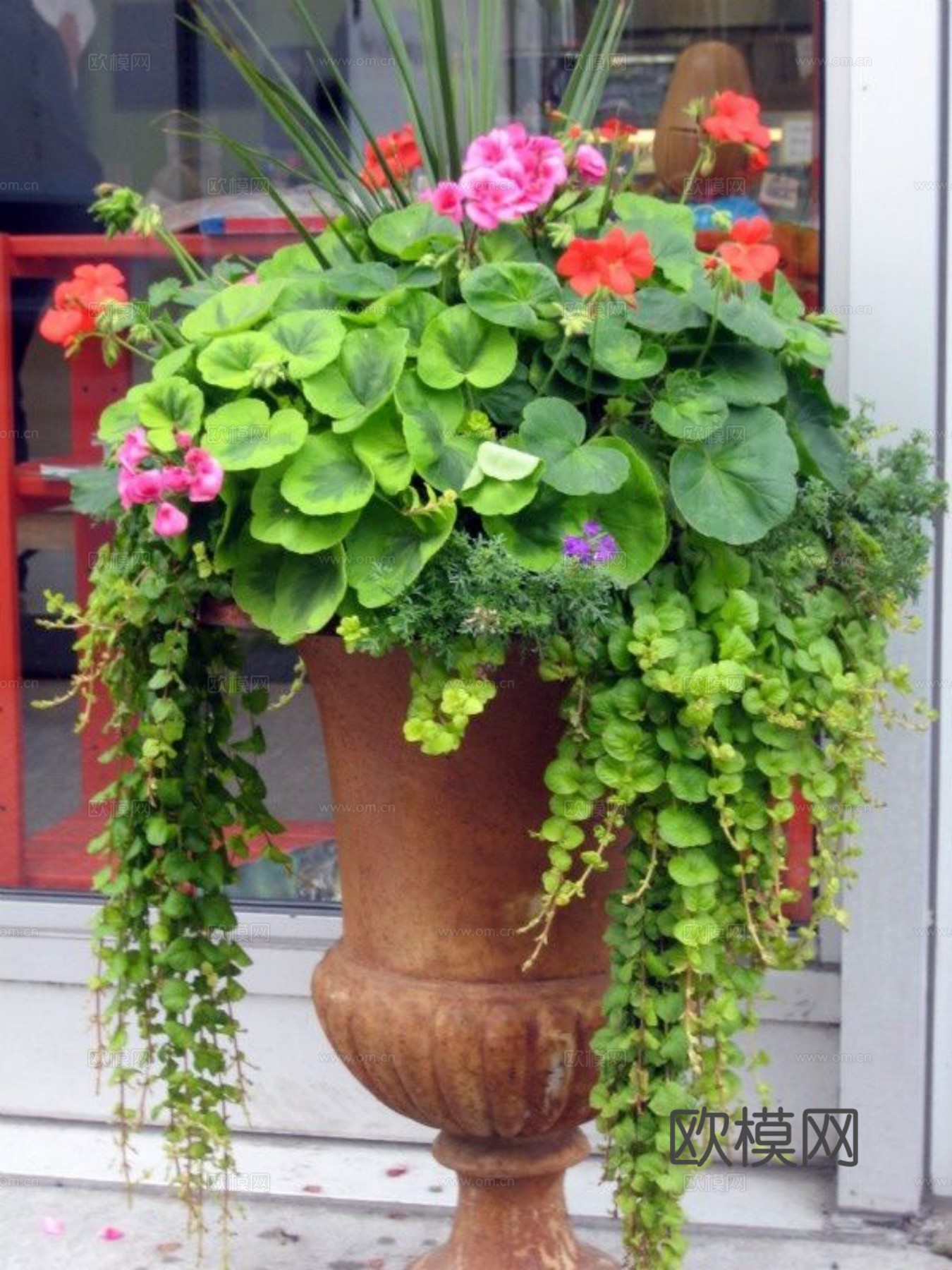 现代 植物墙下载