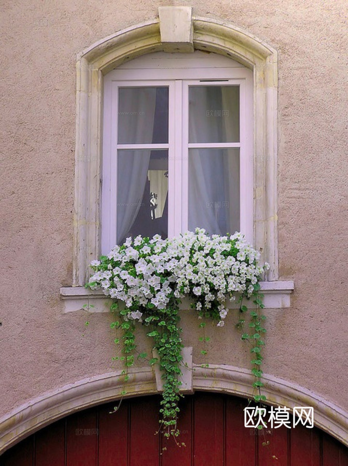 现代 植物墙下载