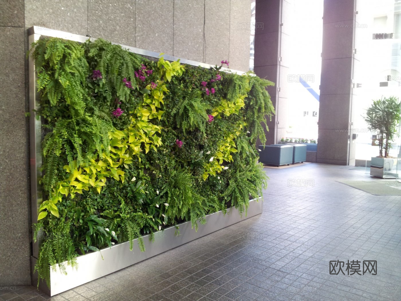 植物墙