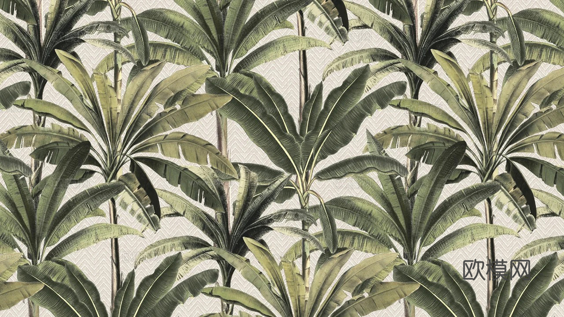 无缝热带雨林壁纸